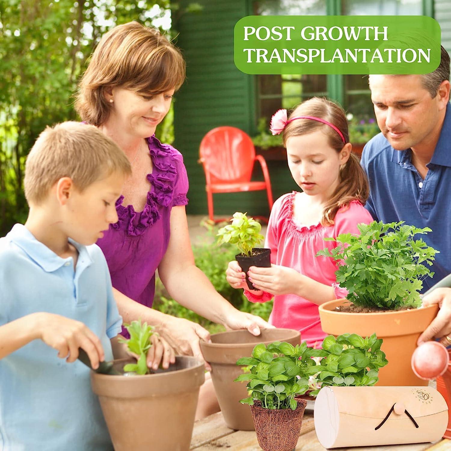 Kit de Jardín de Hierbas Ushine - 7 Semillas y Accesorios