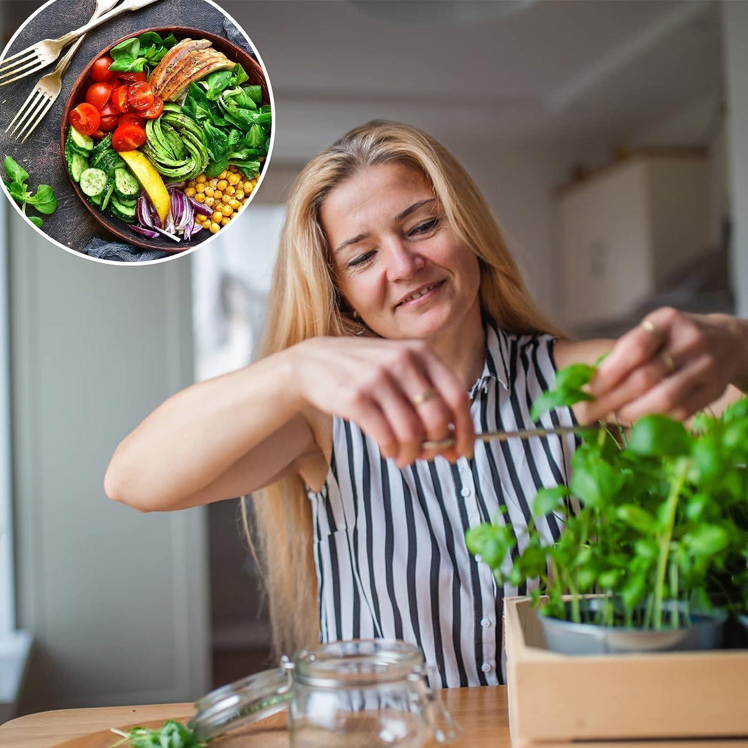 Kit de Jardín de Hierbas Ushine - 7 Semillas y Accesorios