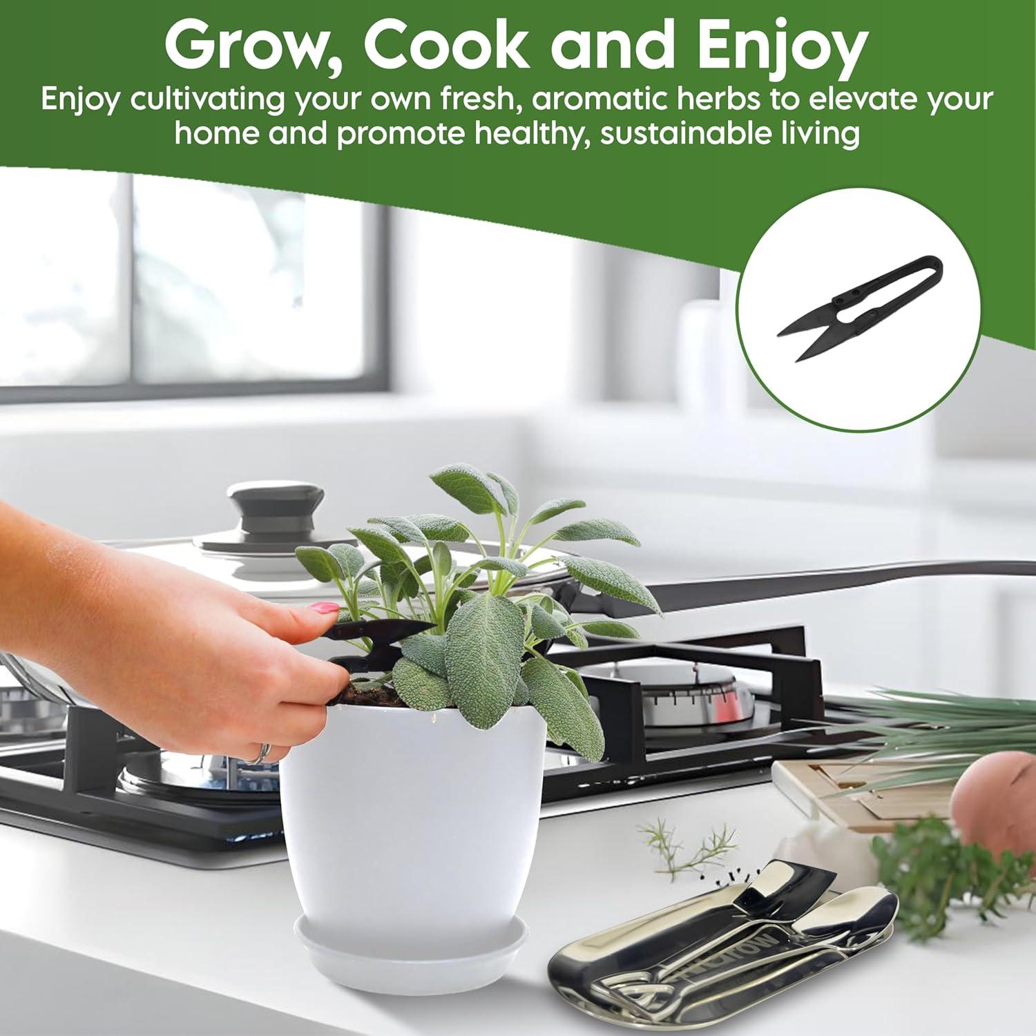 Kit de Jardín Interior JNGrow - Macetas Grandes y Regadera Blanca