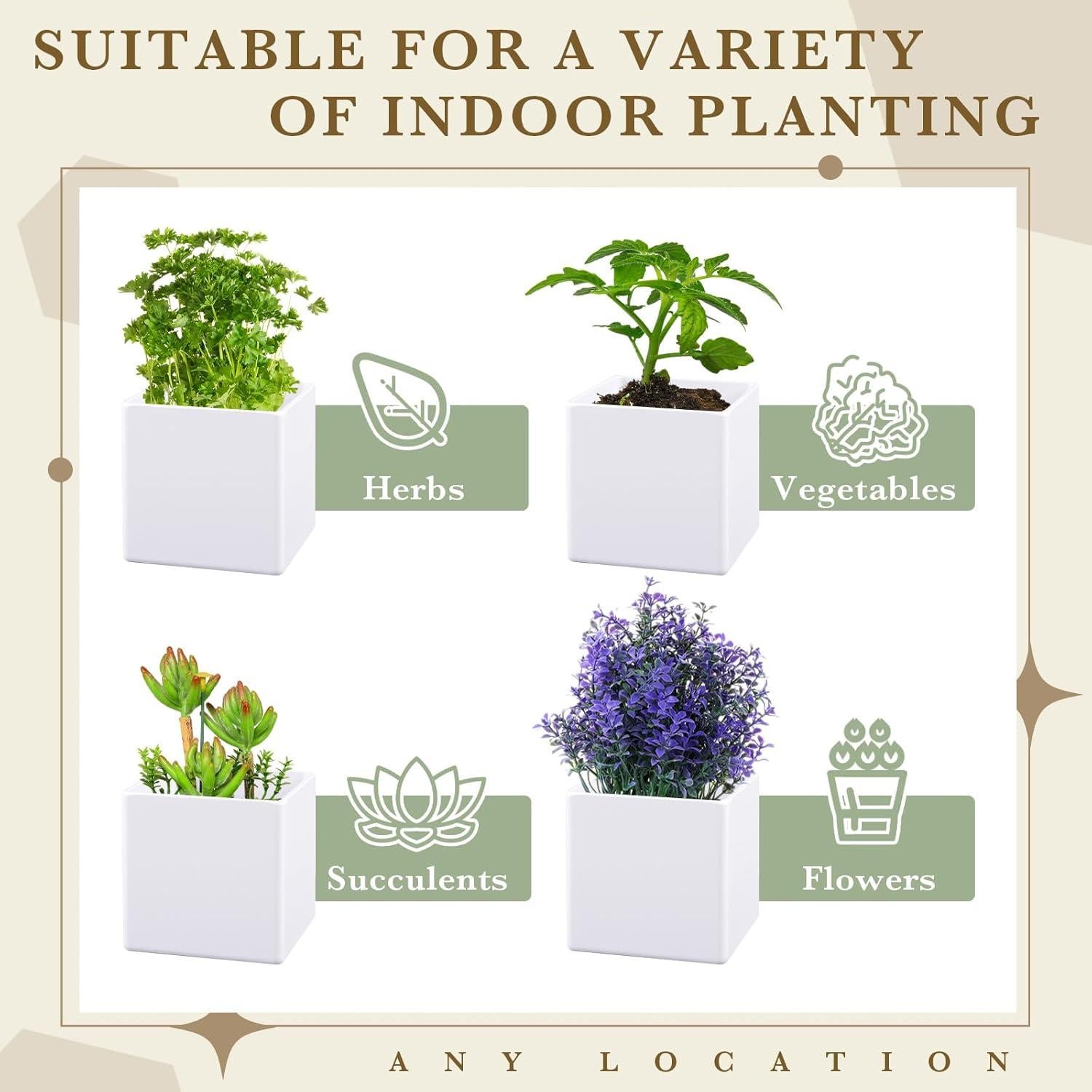 Juego de 6 Macetas de Hierbas RimCereal con Drenaje Blanco