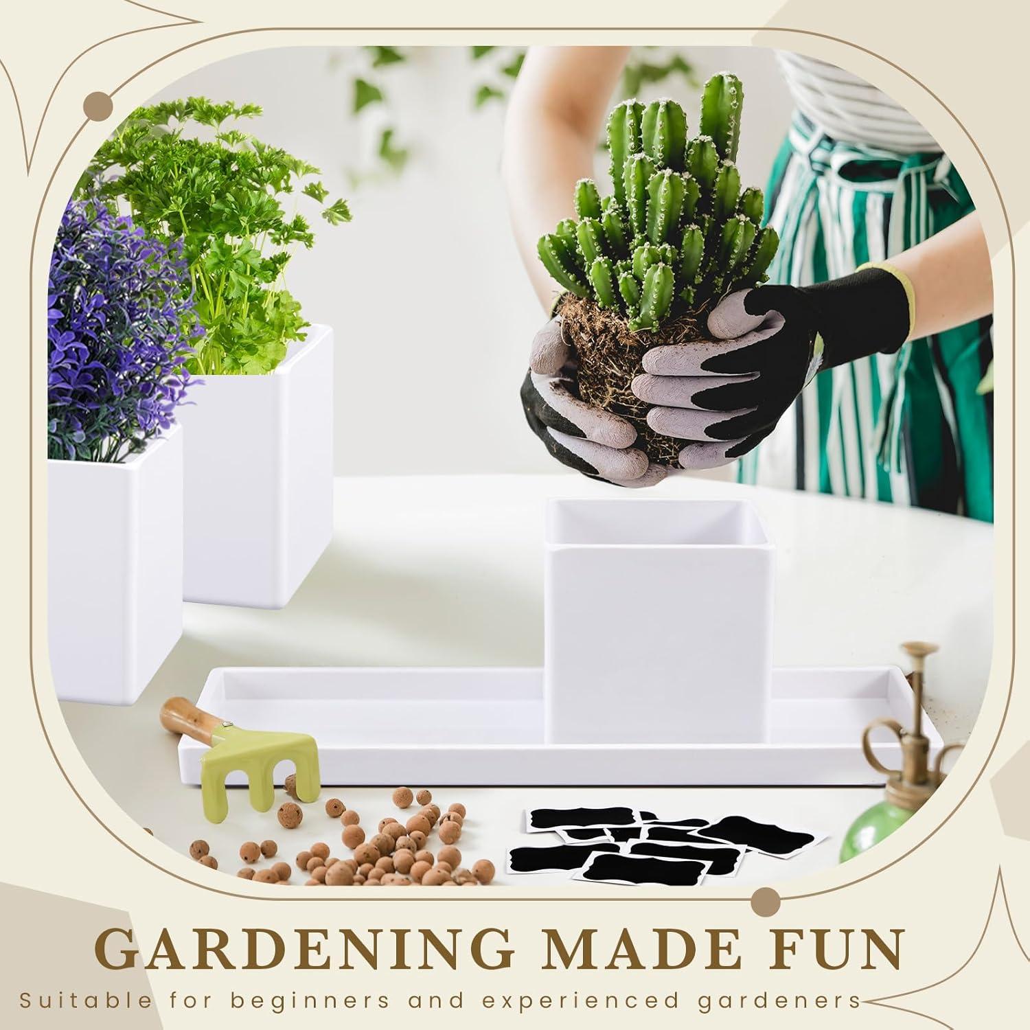 Juego de 6 Macetas de Hierbas RimCereal con Drenaje Blanco