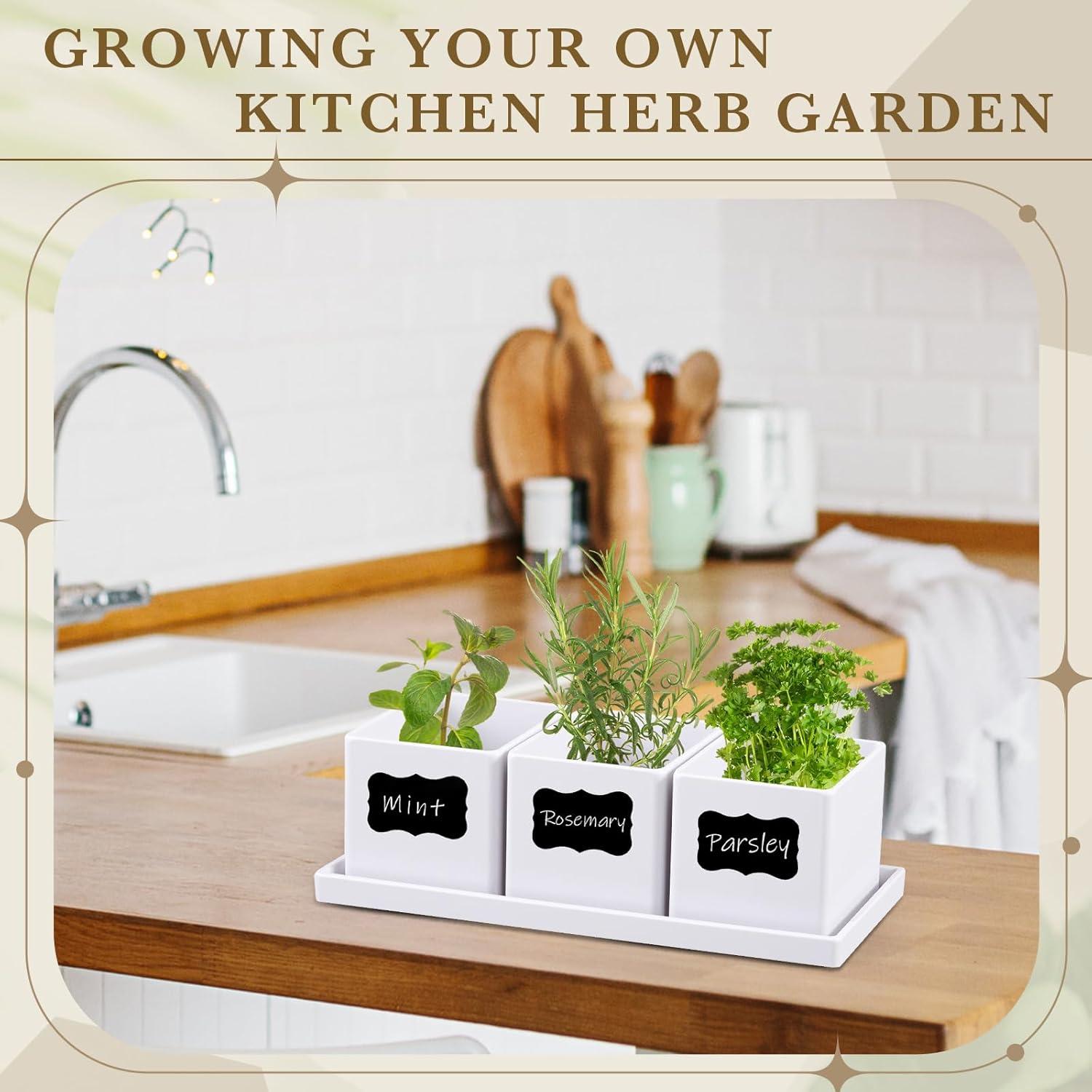 Juego de 6 Macetas de Hierbas RimCereal con Drenaje Blanco