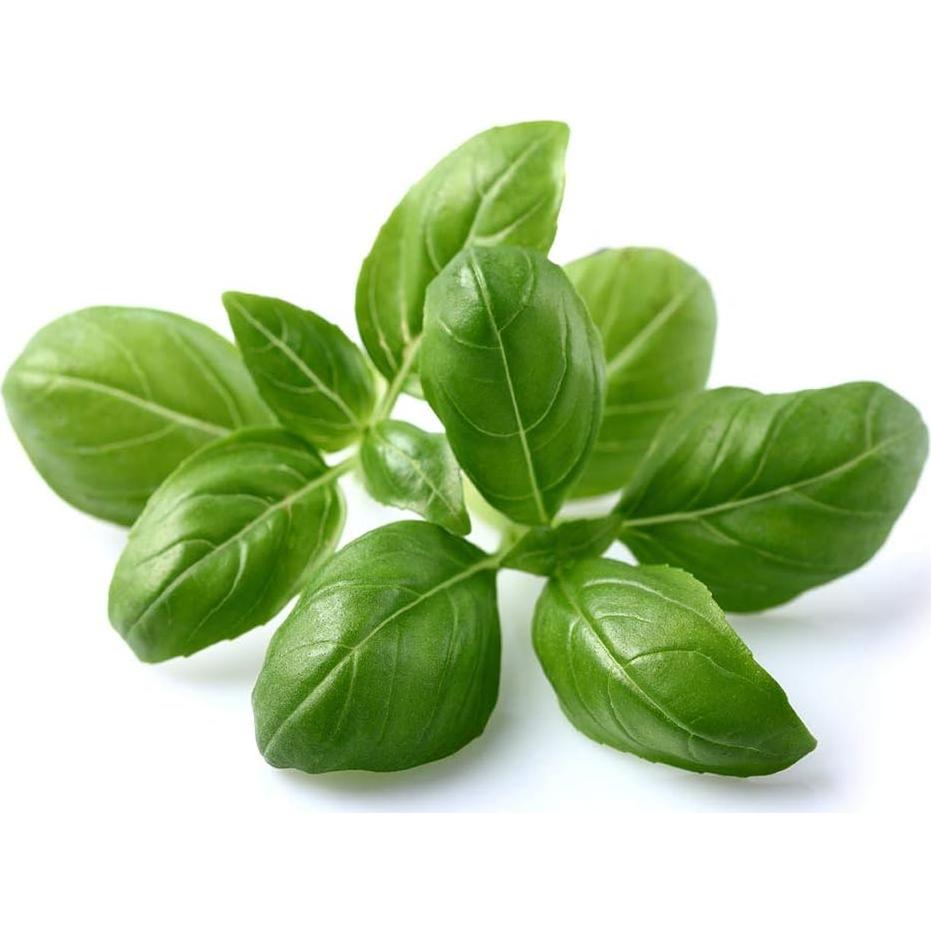 Podos de Albahaca Click and Grow 3-Pack - Jardín Inteligente