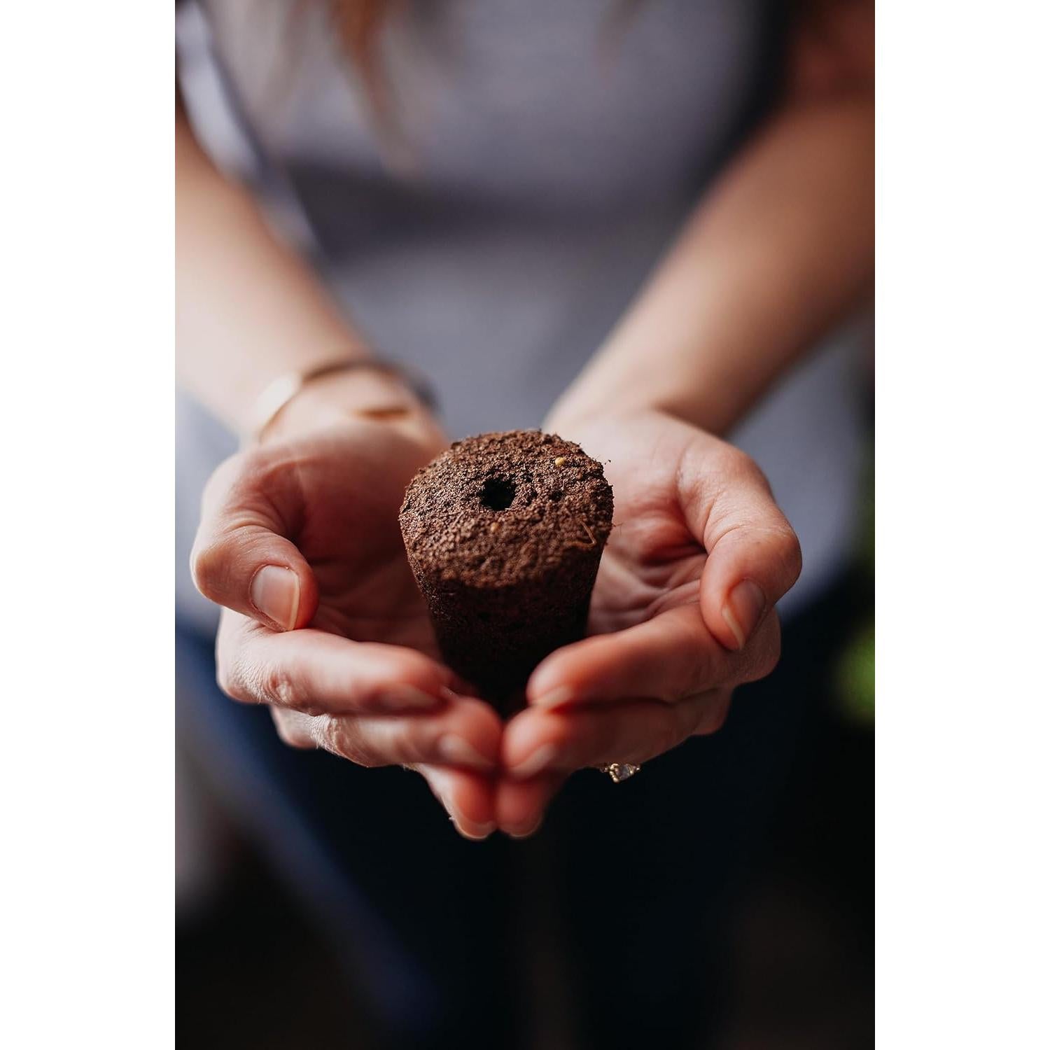 Podos de Albahaca Click and Grow 3-Pack - Jardín Inteligente