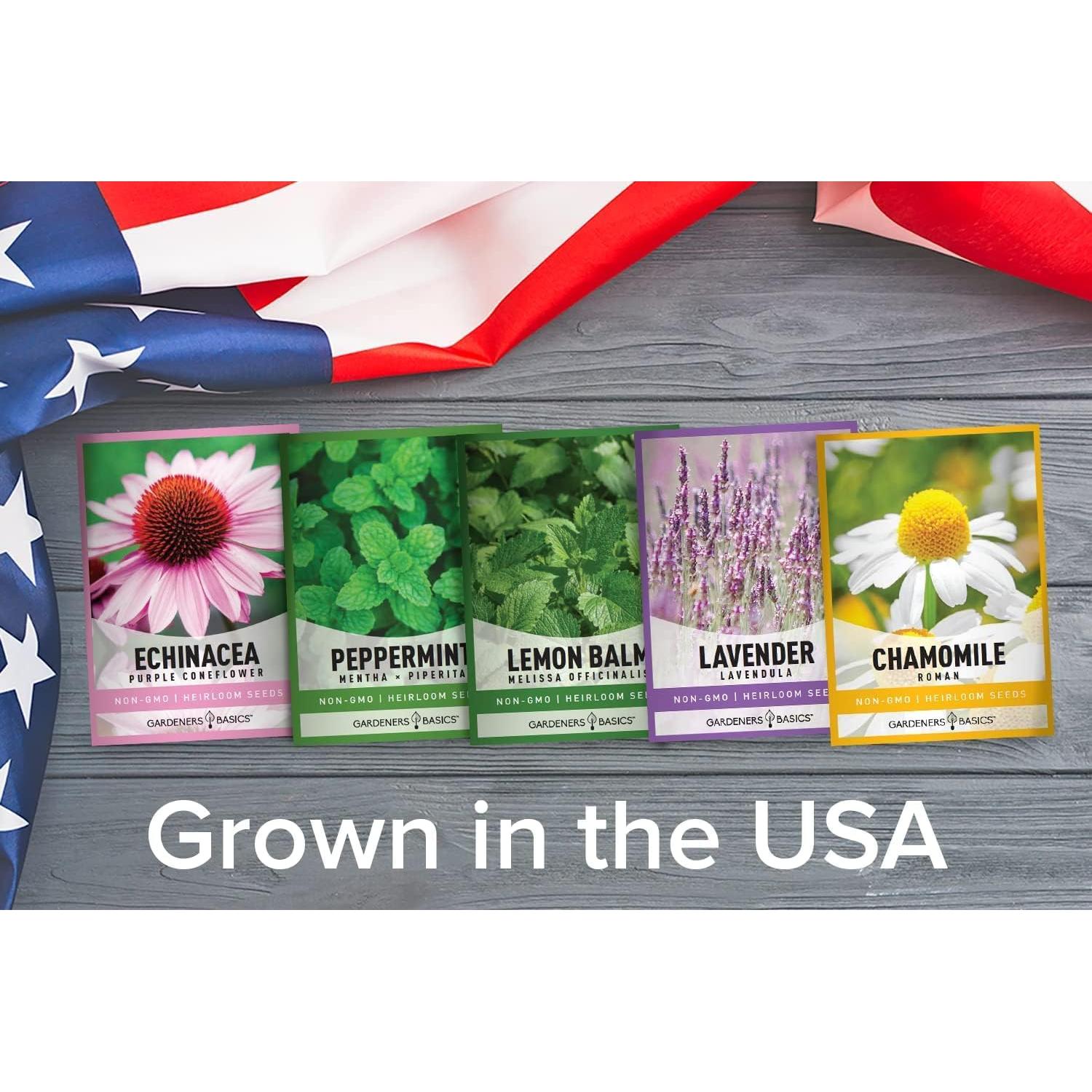 Kit de Cultivo Hidropónico de Hierbas Gardeners Basics - 5 Semillas