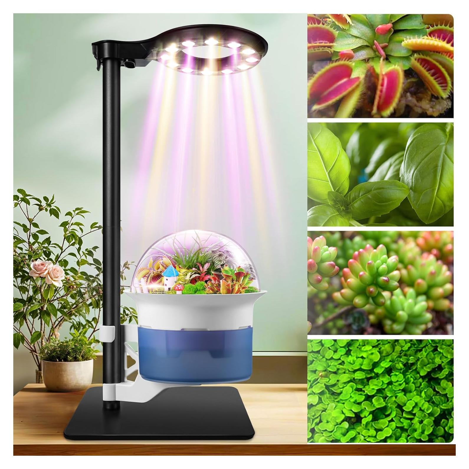 Kit de Terrario E SUPEREGROW con Luz de Crecimiento y Autorriego