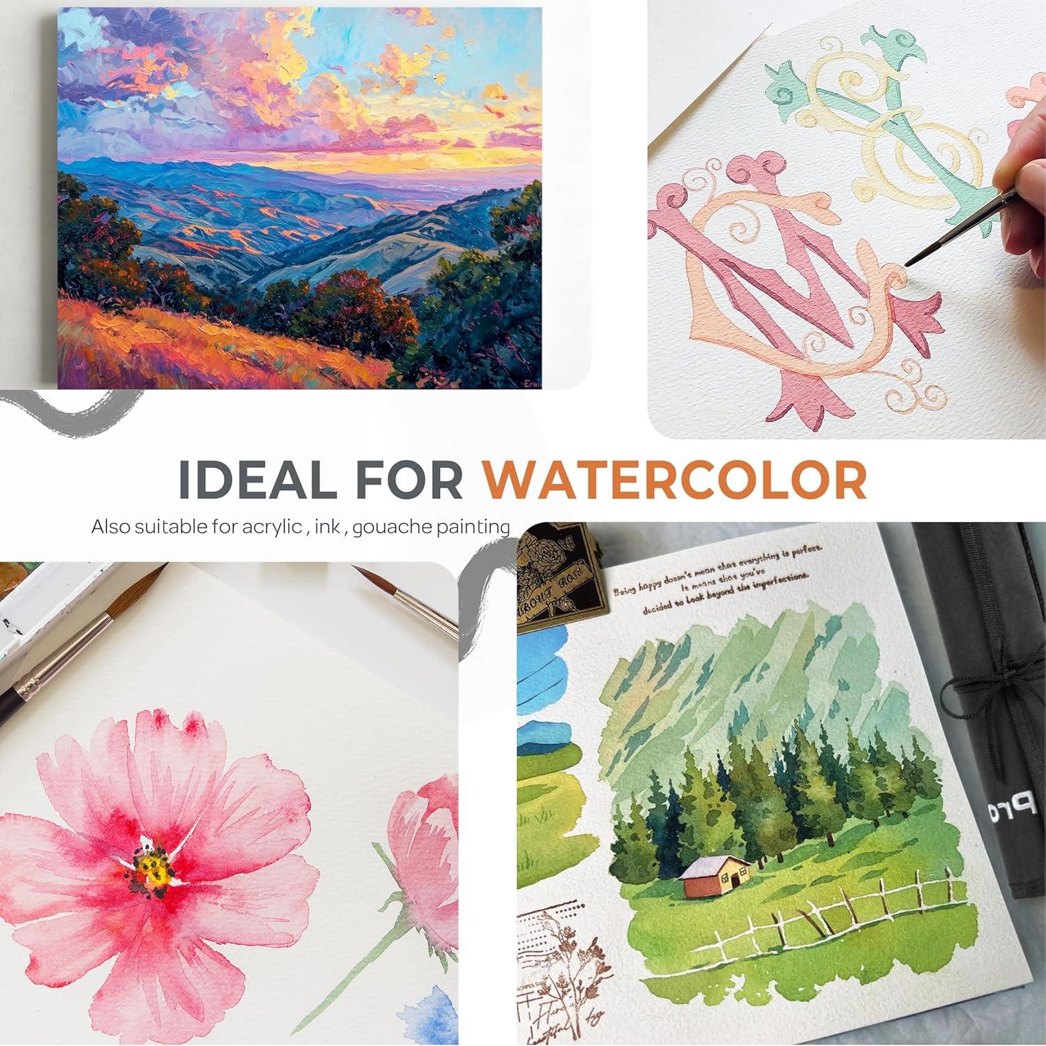 Juego de 24 Pinceles de Acuarela NICPRO con Funda de Tela