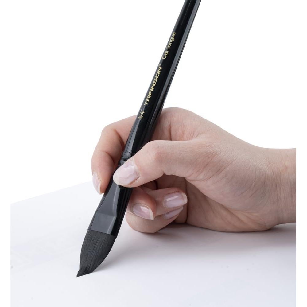 Set de 10 Pinceles de Acuarela Transon Profesionales