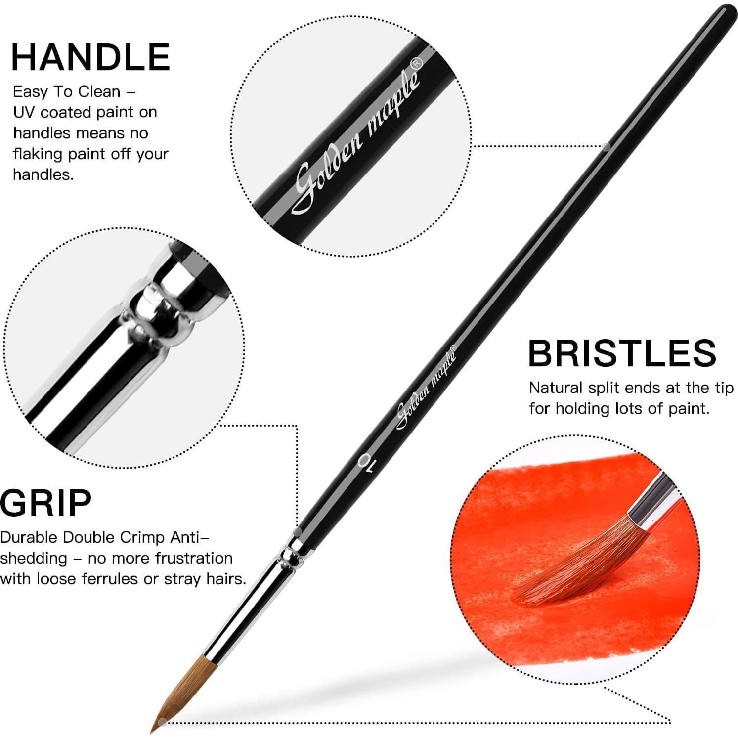 Juego de 10 Pinceles de Acuarela Arce Dorado - Punta Redonda y Planos