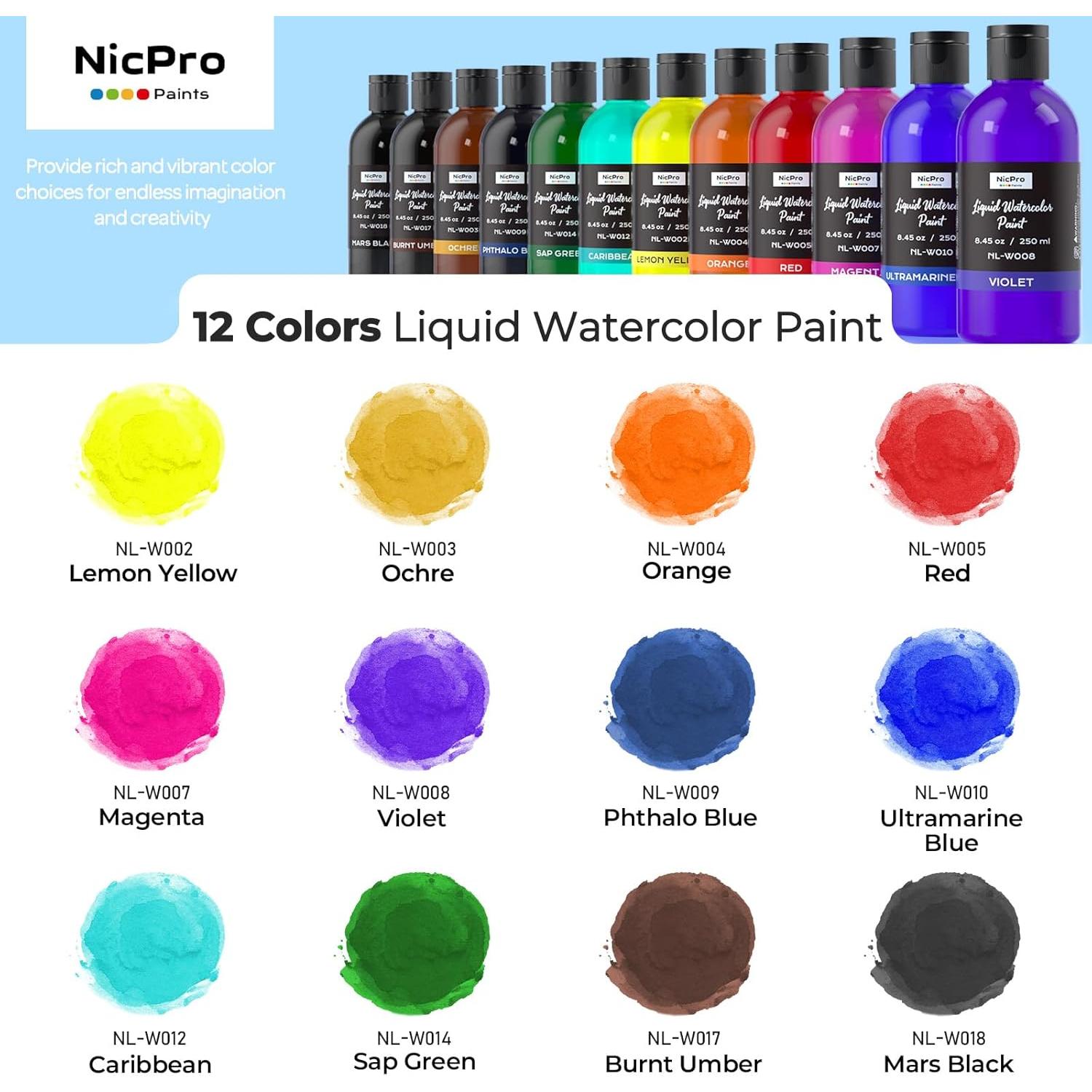 Juego de Pintura Acuarela Líquida Nicpro 12 Colores 250 ml