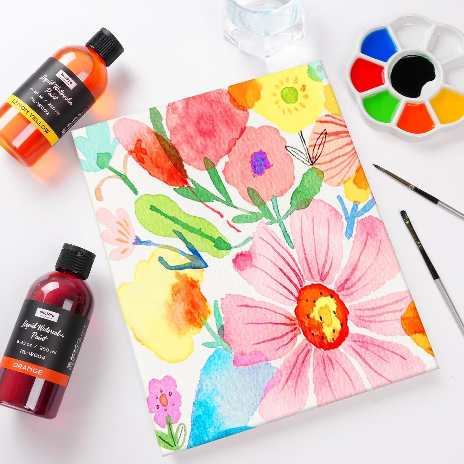 Juego de Pintura Acuarela Líquida Nicpro 12 Colores 250 ml