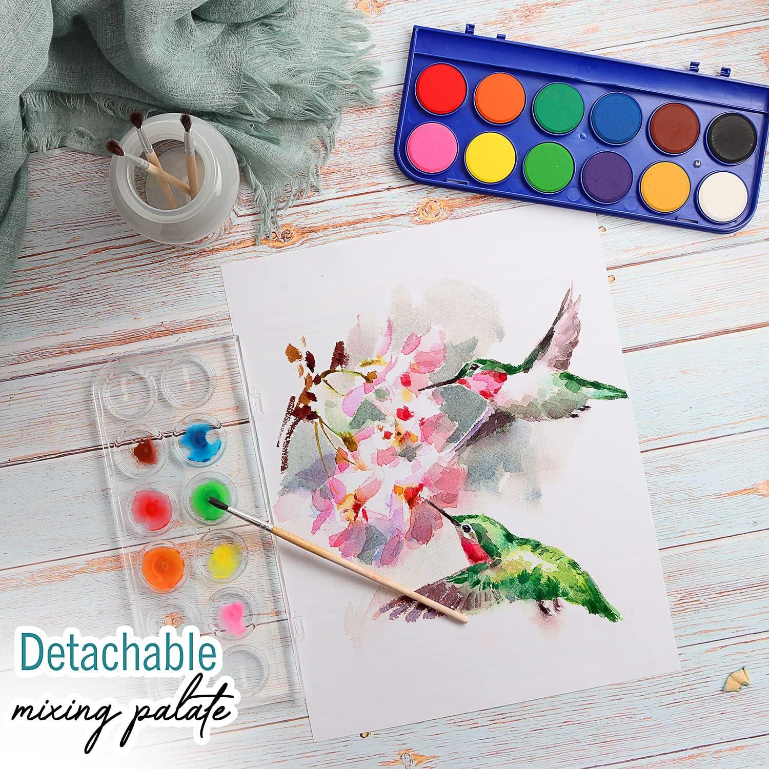 Juego de Pintura Acuarela Papelería Definitiva 24 Colores