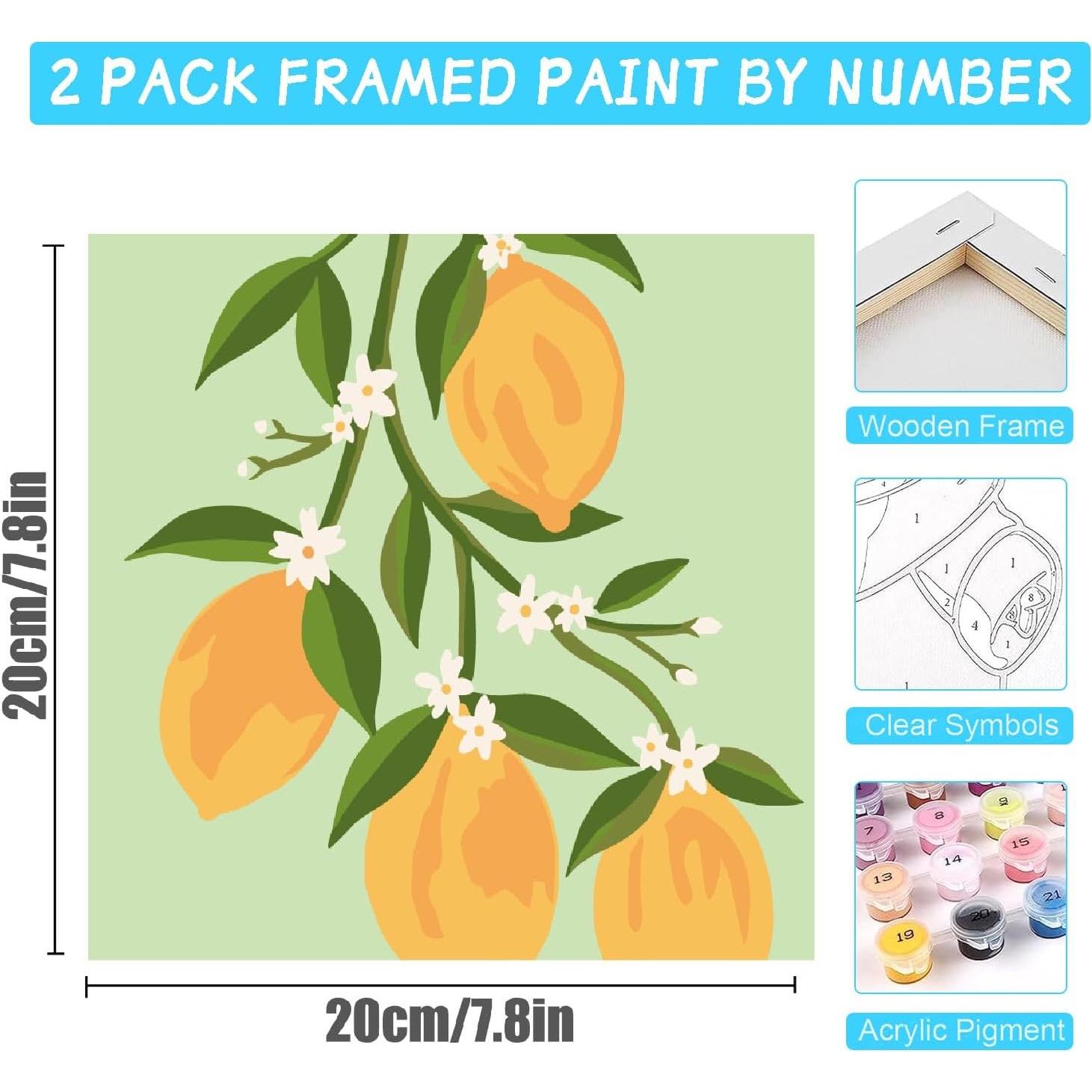 Kit de Pintura por Números Amzdiyfun Frutas 19.8x19.8cm