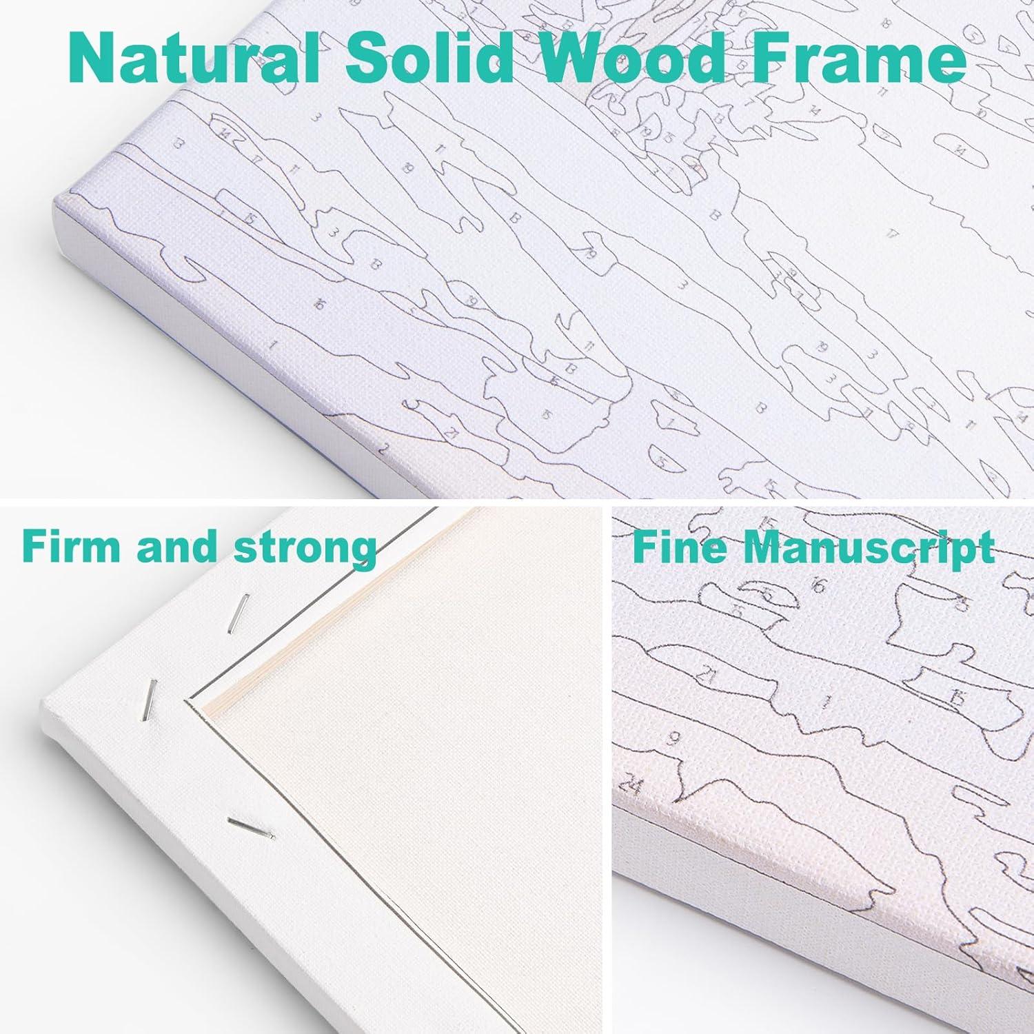 Kit de Pintura por Números Enmarcado GEEHEIY 20x30 cm Calavera y Rosas