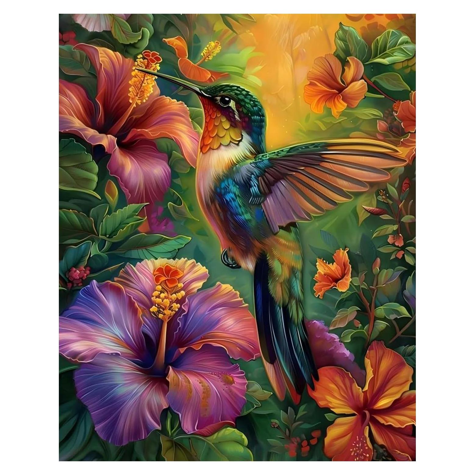 Kit de Pintura por Números xcemhil Colibrí 40x50 cm