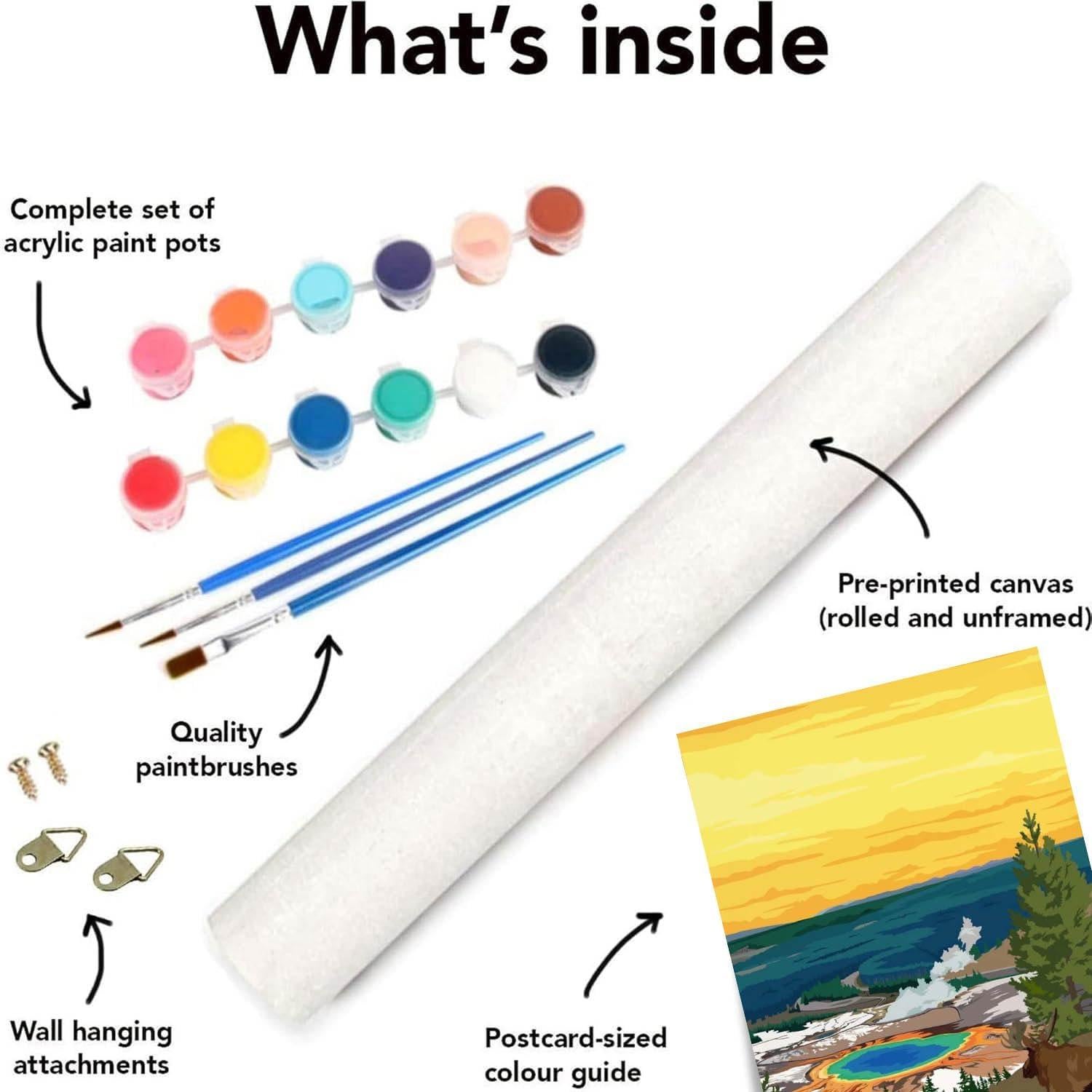 Kit de Pintar por Números HOIYLDS 6 Paquetes Adultos 24.9x35.1cm