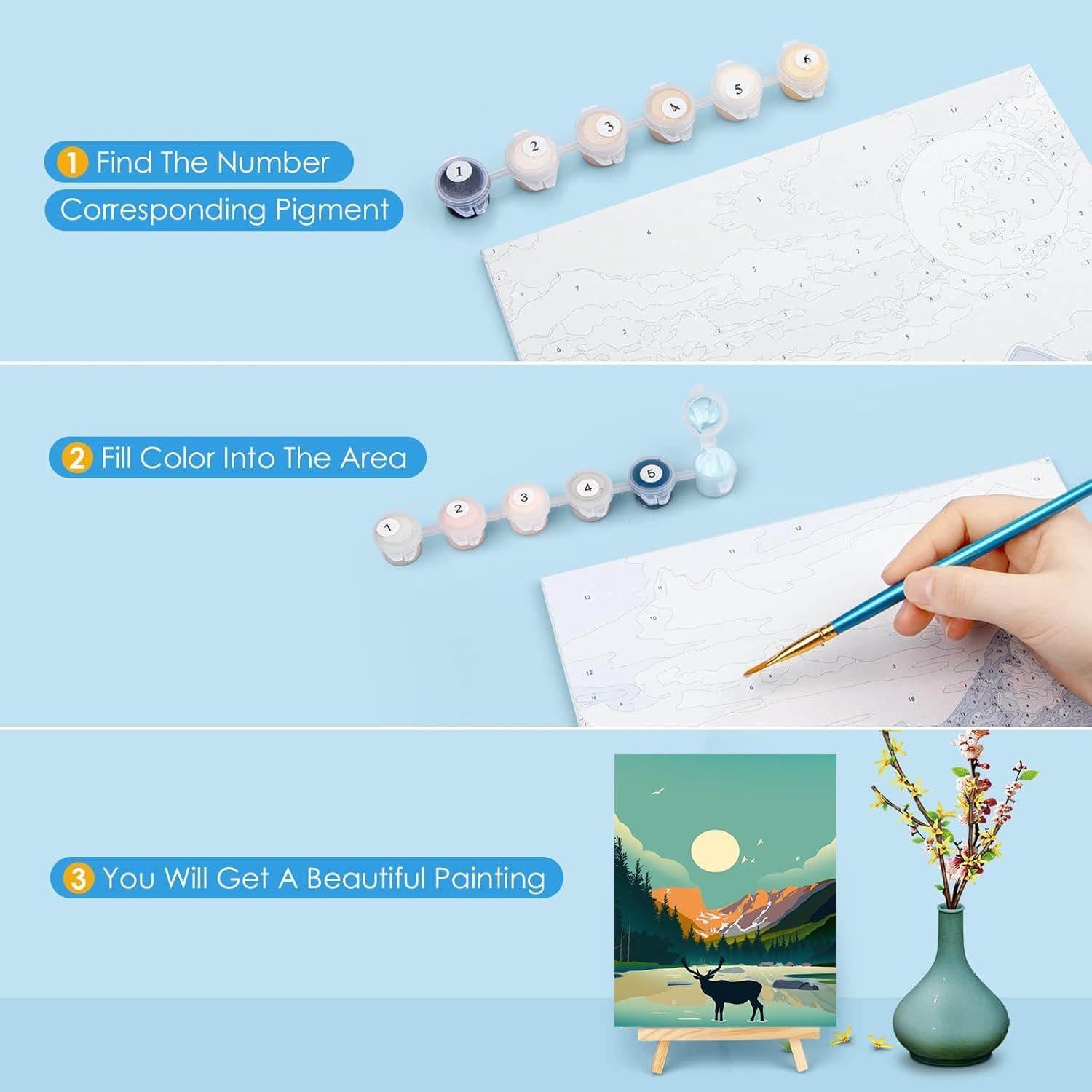 Kit de Pintar por Números HOIYLDS 6 Paquetes Adultos 24.9x35.1cm