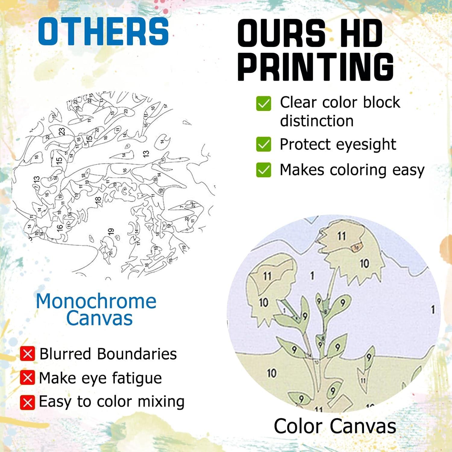 Kit de Pintura por Números Perycomly Adultos 40.6x50.8 cm