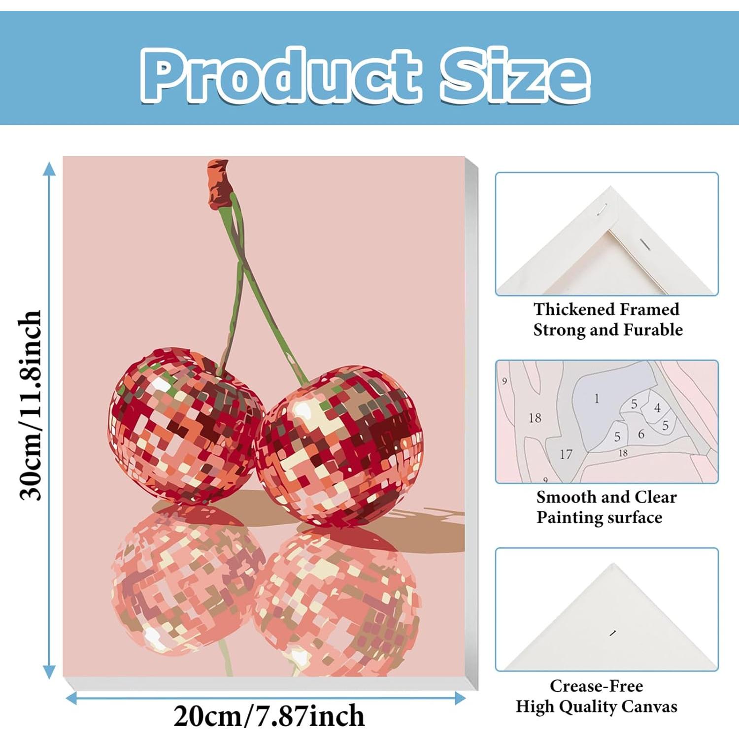 Kit de Pintura por Números hkejoi Disco 20x30 cm para Adultos