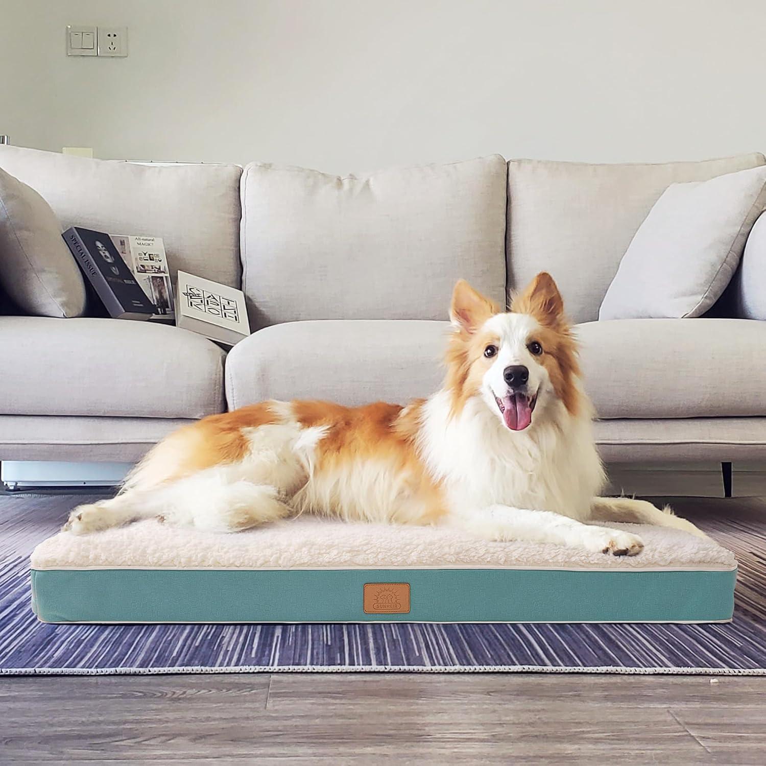 Cama ortopédica para perros pequeños Sunheir, impermeable 60x40cm