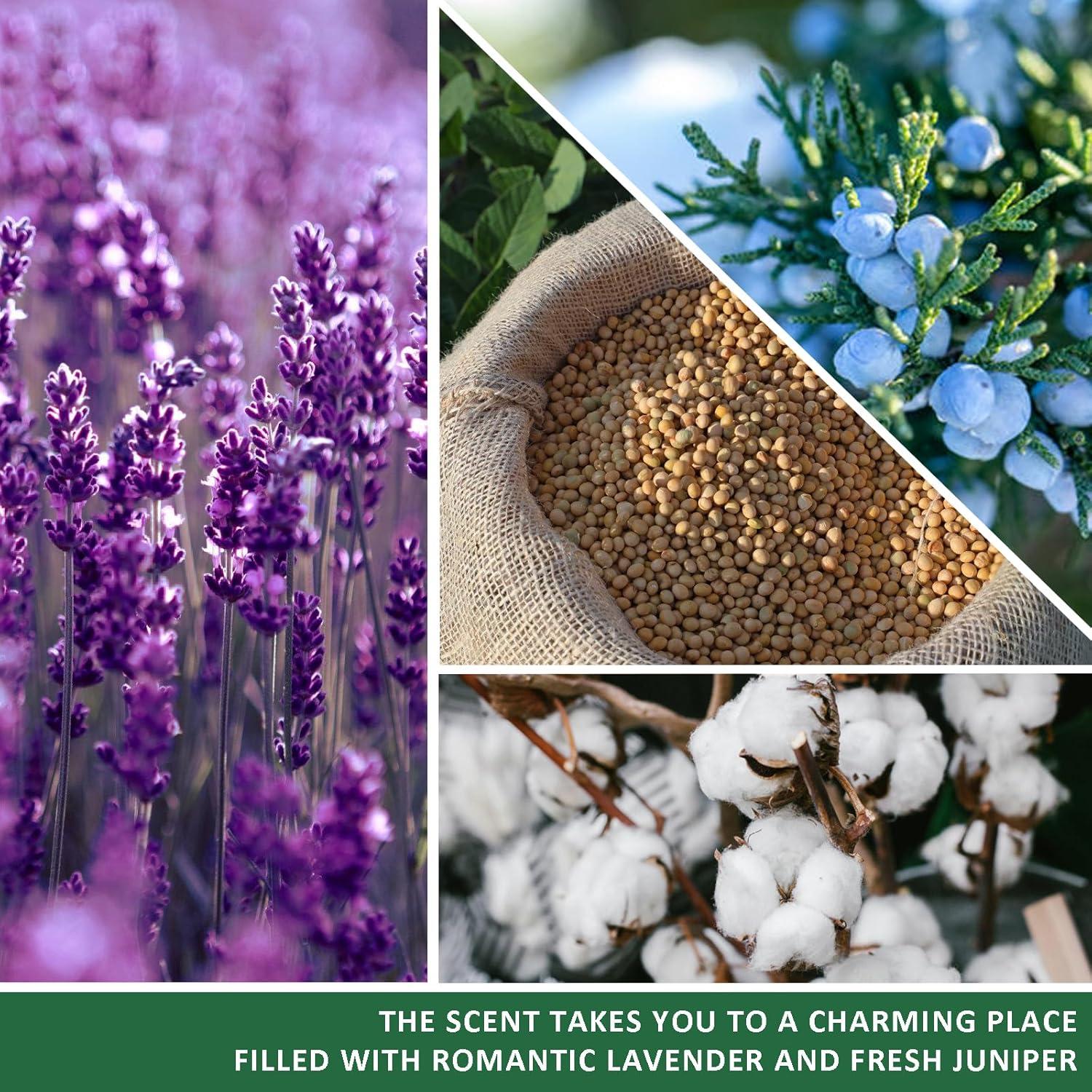 Vela de Lavanda KISSHAKE para el Día del Padre - Regalo Divertido