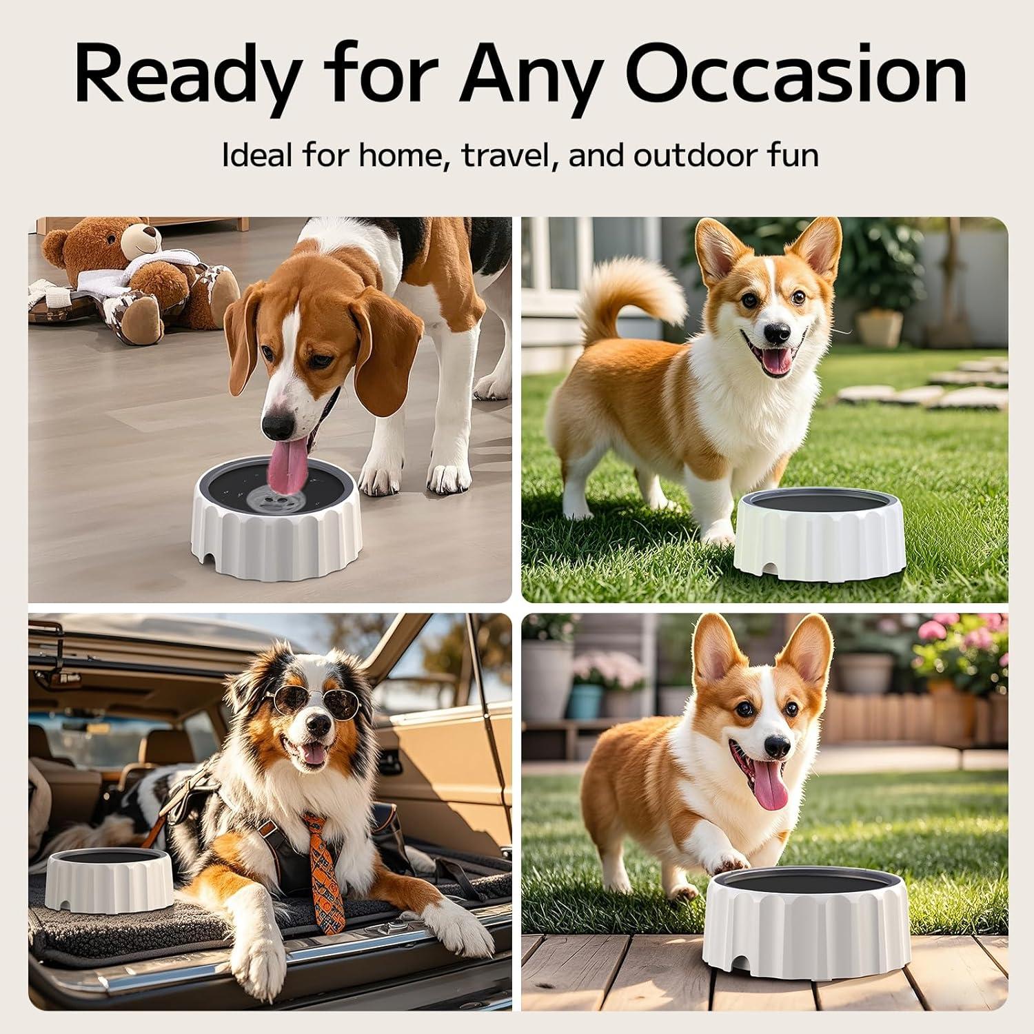 Cuenco de Agua Antideslizante Famigreta 2L para Perros y Gatos