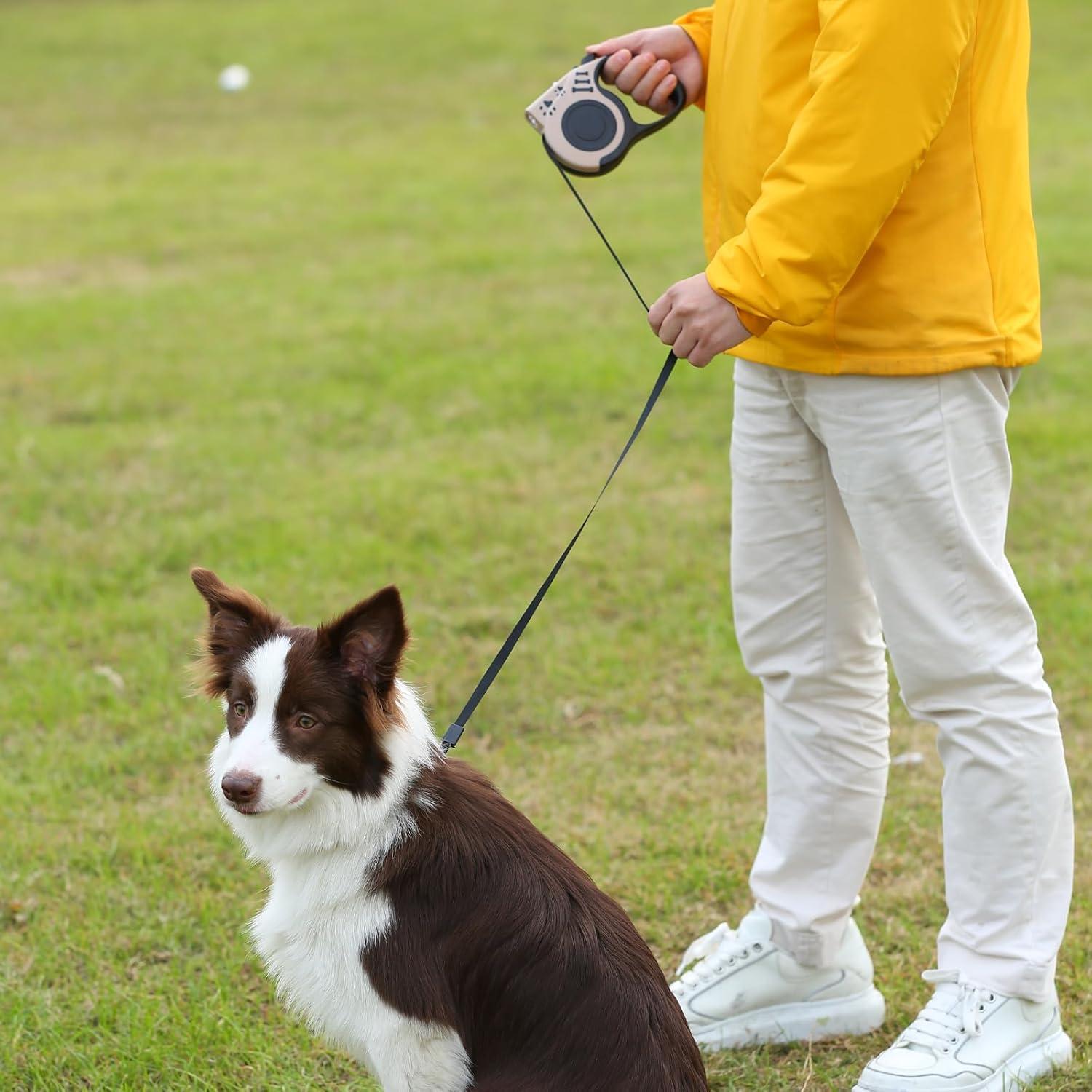 Correa de Perro Retráctil COSOWO 4.88m con Linterna USB Azul