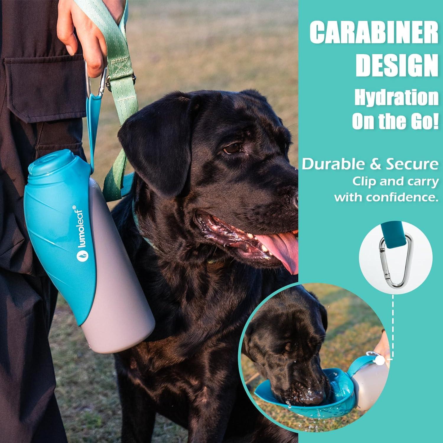 Botella de Agua Aislada LumoLeaf 800 ml Acero Inoxidable - Cuenco para Mascotas