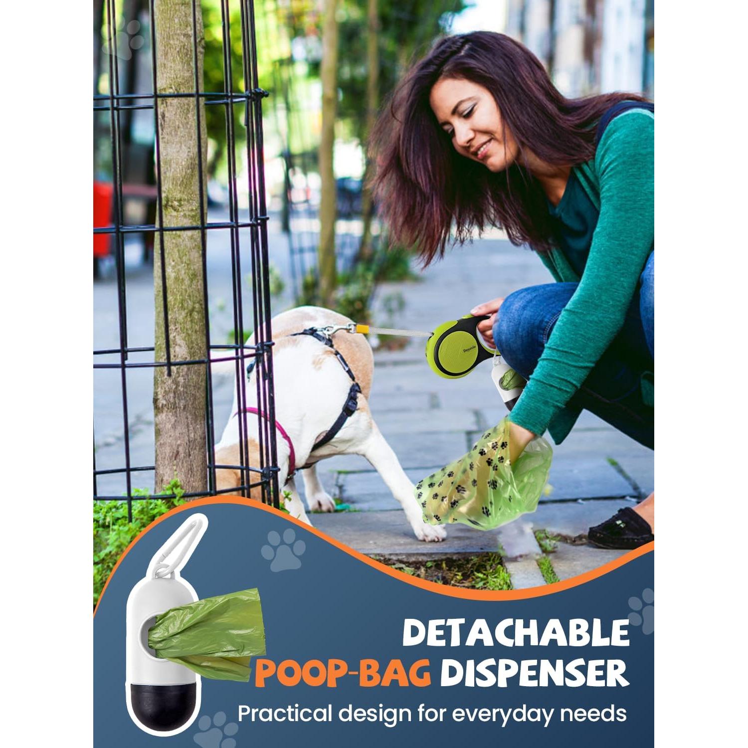 Correa de Perro Retráctil Douexio 4.88m con Linterna LED