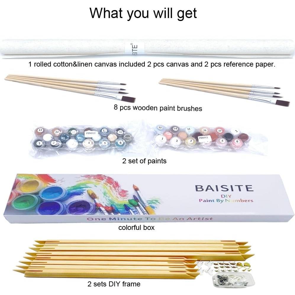 Kit de Pintura por Números BAISITE 2 Piezas 40.6x30.5cm