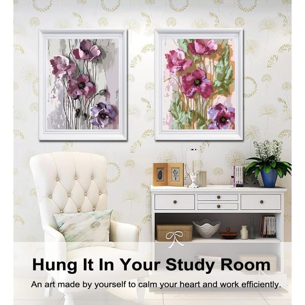 Kit de Pintura por Números BAISITE para Adultos - 2 Lienzos 30x40 cm