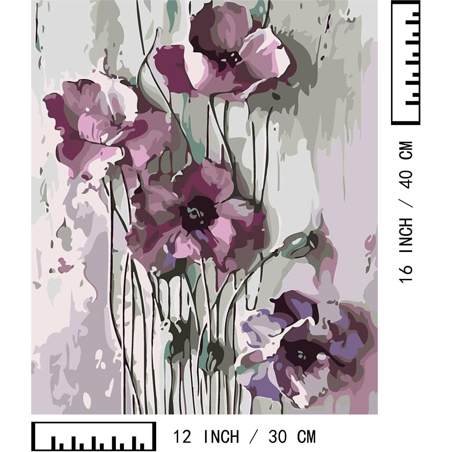 Kit de Pintura por Números BAISITE para Adultos - 2 Lienzos 30x40 cm