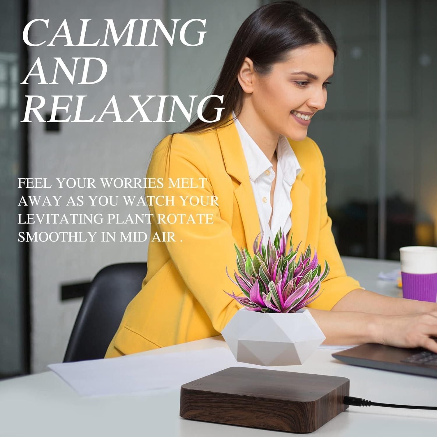 Maceta Bonsai Flotante Babook Cuadrada 9cm Color Oscuro