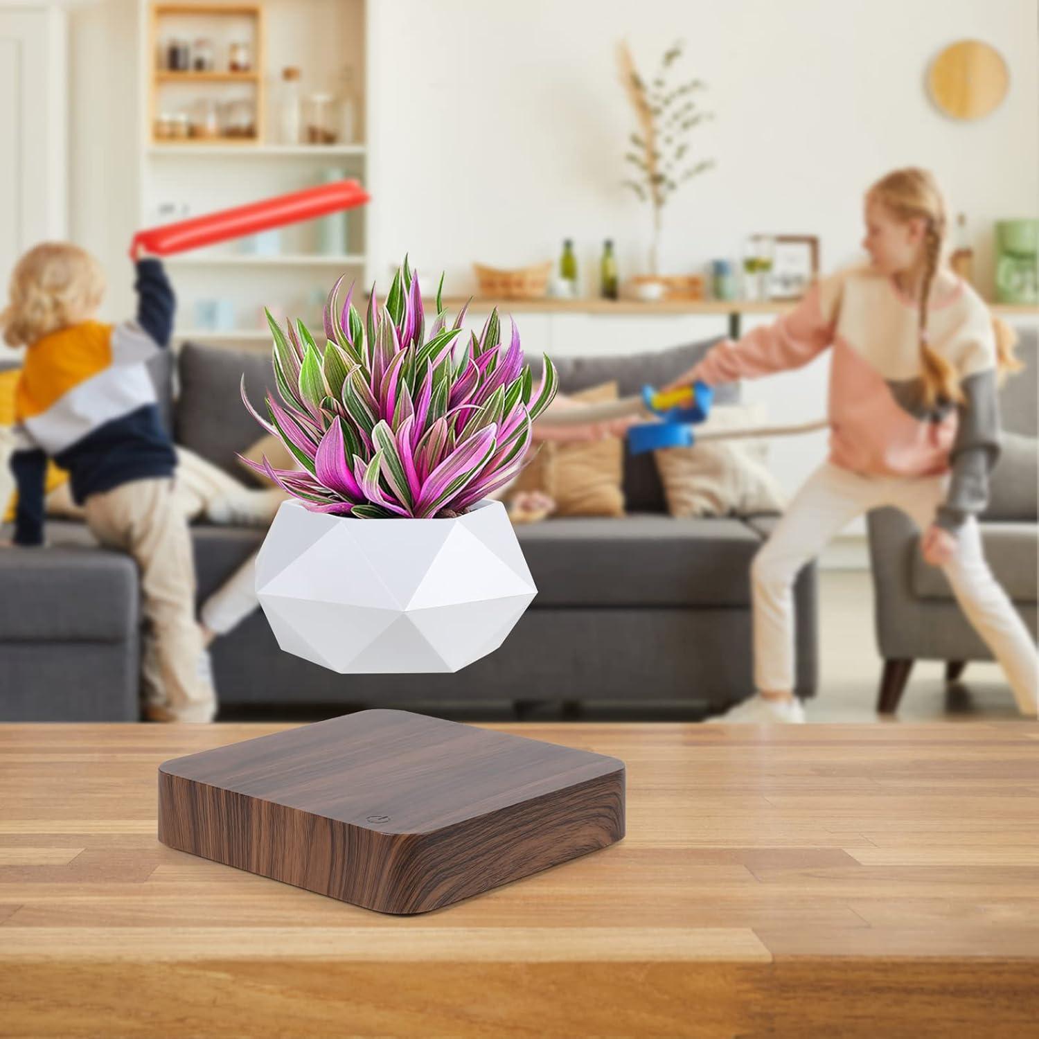 Maceta Bonsai Flotante Babook Cuadrada 9cm Color Oscuro