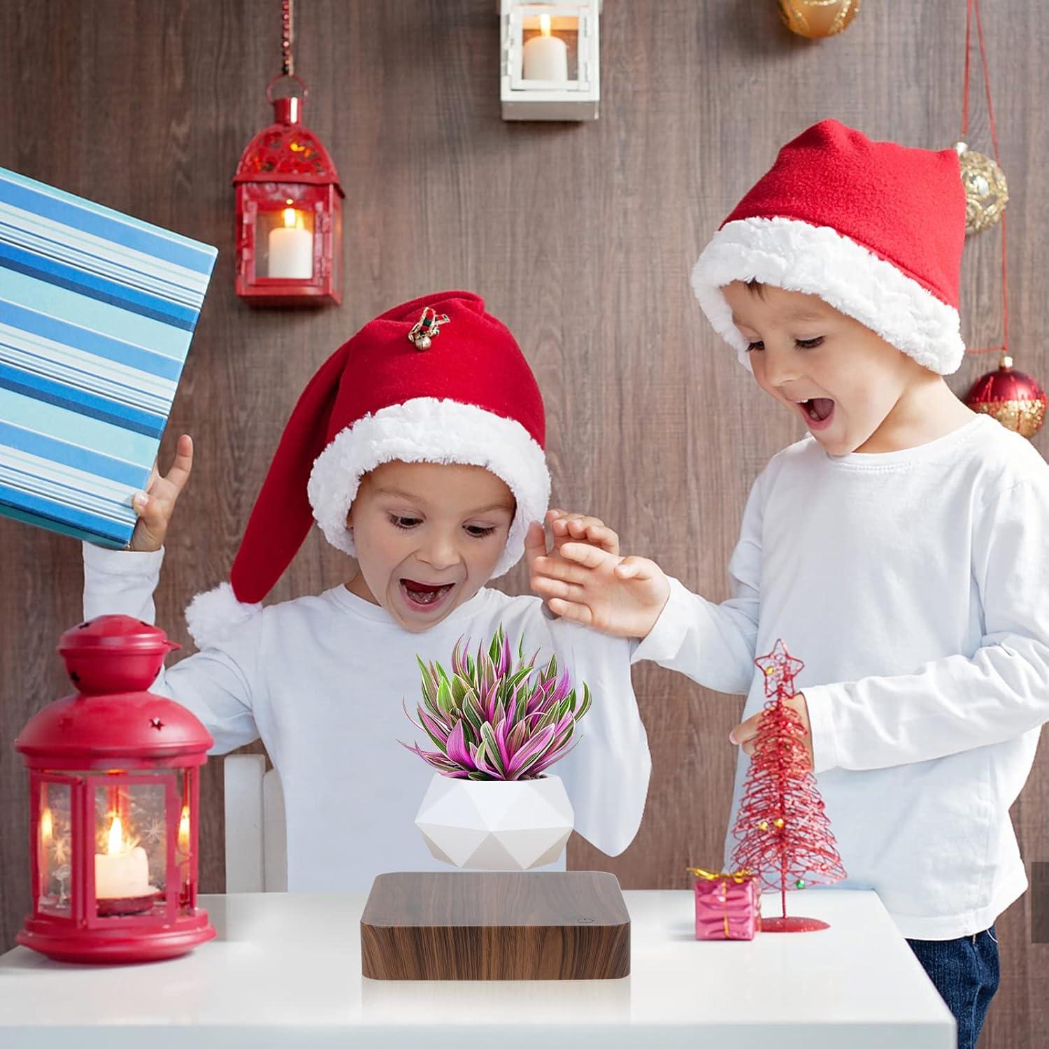 Maceta Bonsai Flotante Babook Cuadrada 9cm Color Oscuro