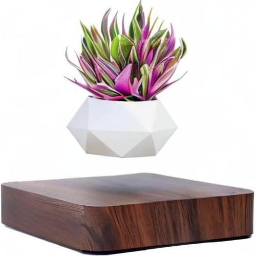 Maceta Bonsai Flotante Babook Cuadrada 9cm Color Oscuro