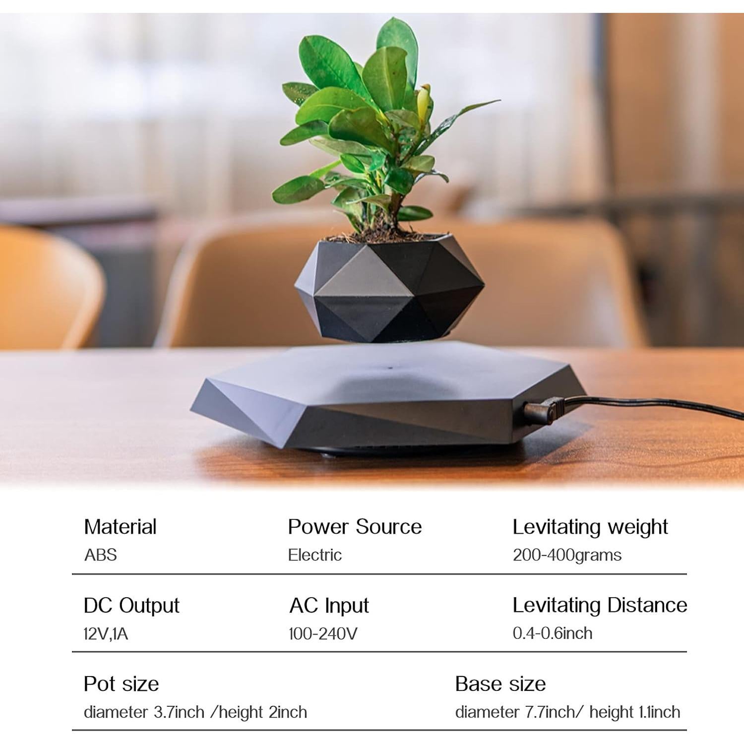 Maceta Flotante Magnética HCNT para Plantas Suculentas Negra