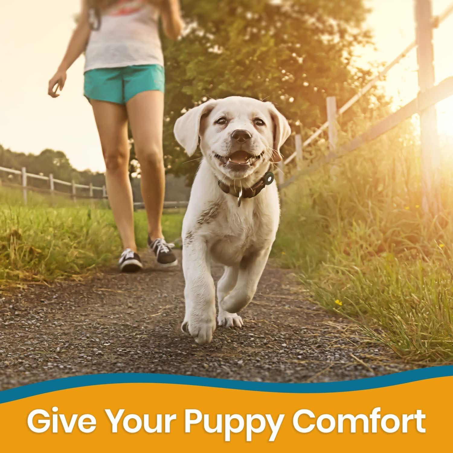 Soporte Redondo para Collar de Perro PAWBEE Airtag - 2 Unidades