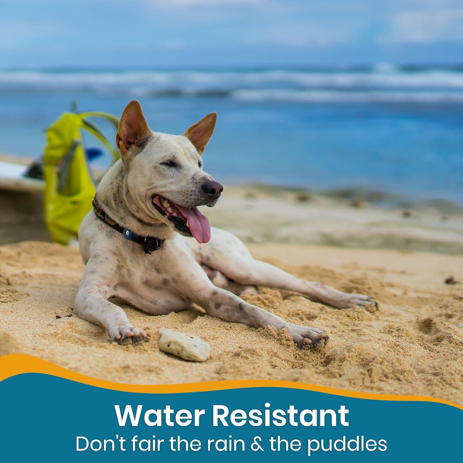 Soporte Redondo para Collar de Perro PAWBEE Airtag - 2 Unidades