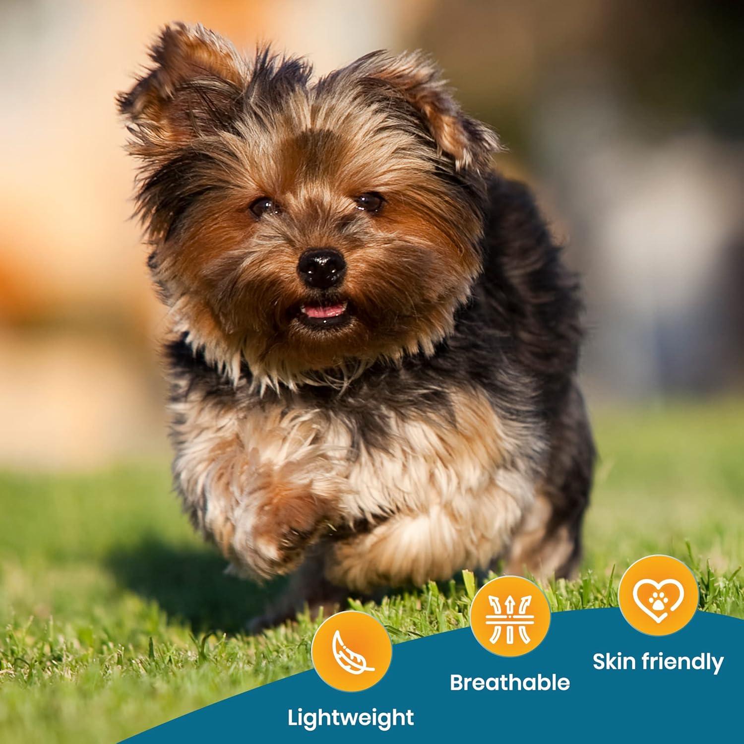 Soporte Redondo para Collar de Perro PAWBEE Airtag - 2 Unidades