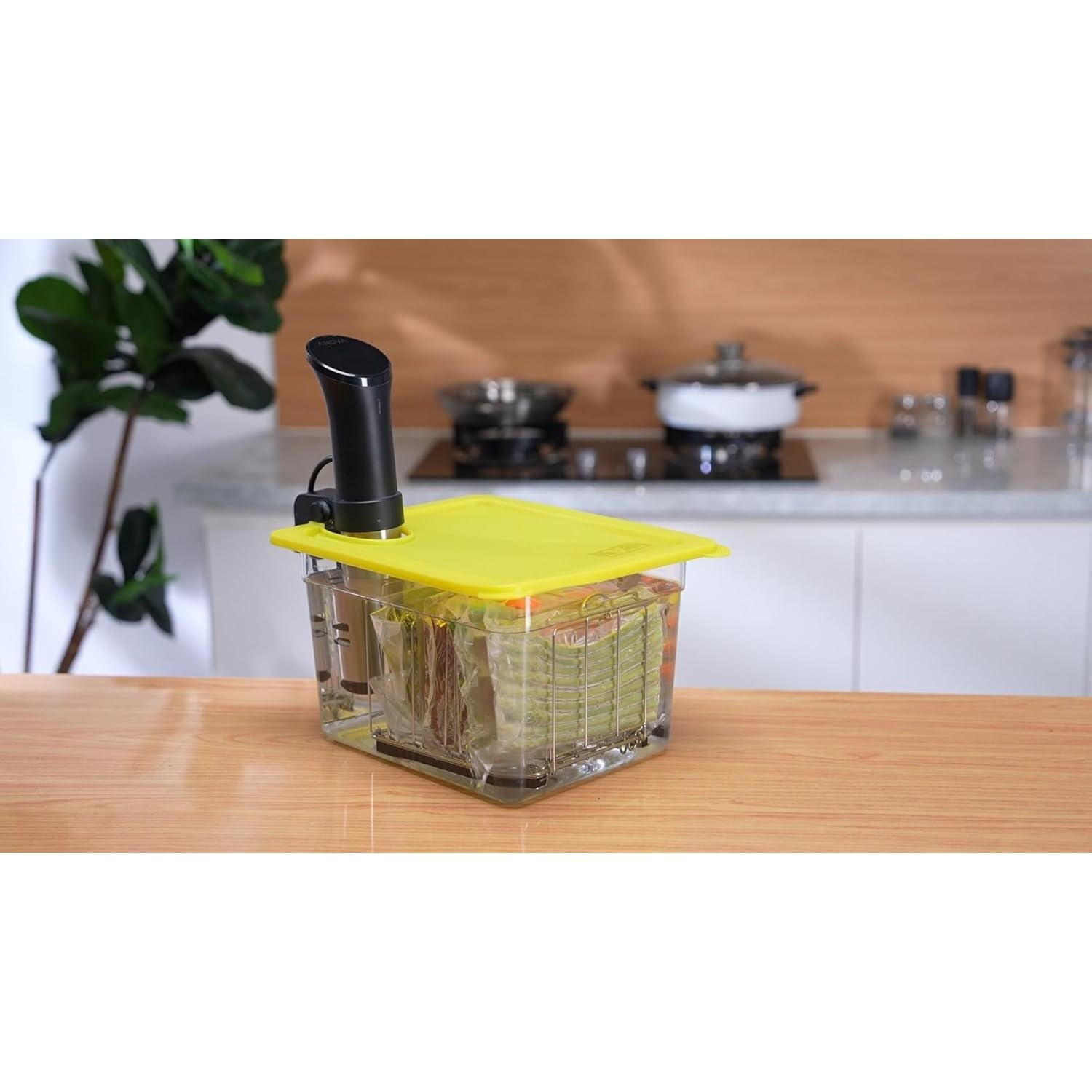 Contenedor Sous Vide 12 Cuartos EVERIE con Tapa Silicona y Soporte