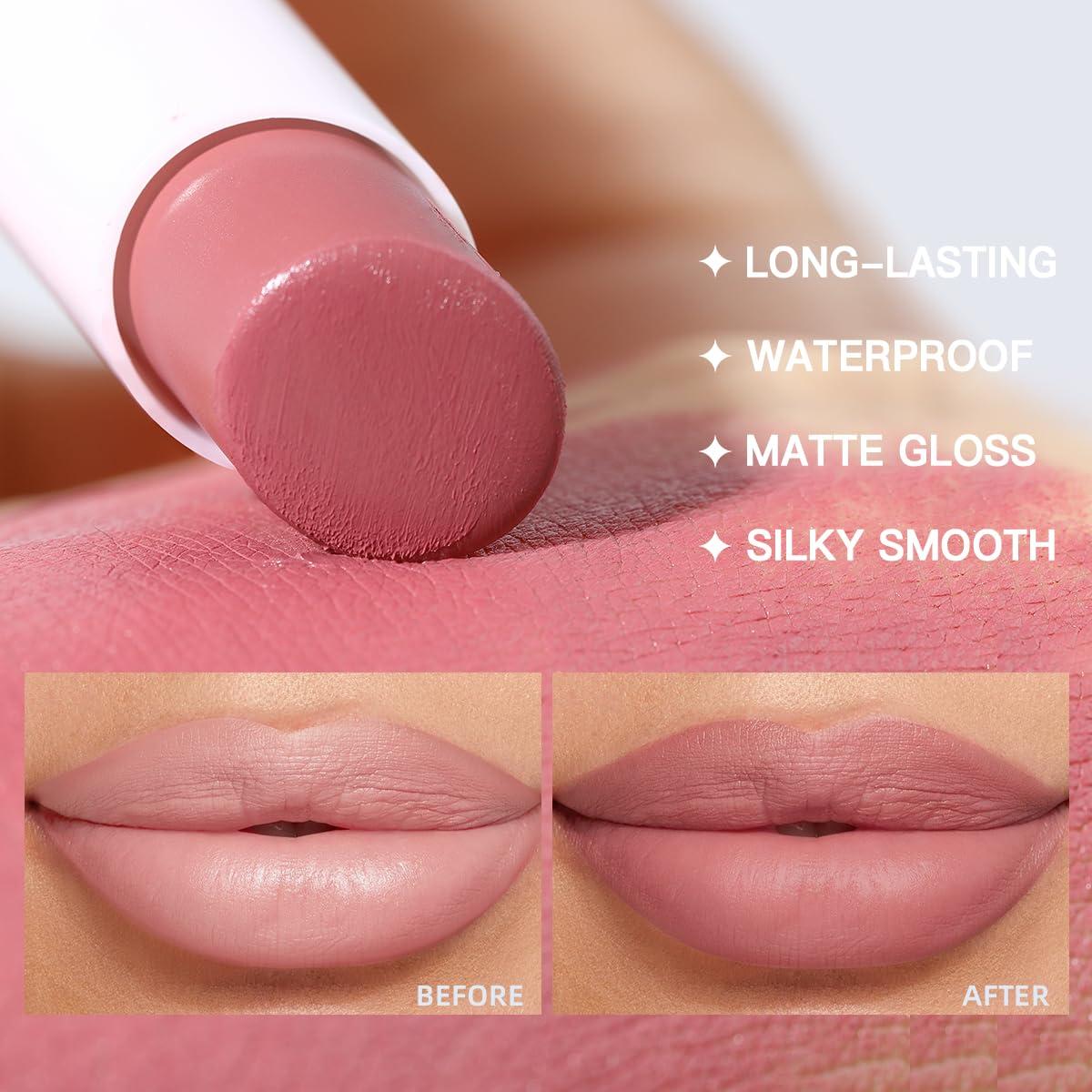 Conjunto Labial y Delineador USHAS 2 en 1 Mate S9 1 Cuenta