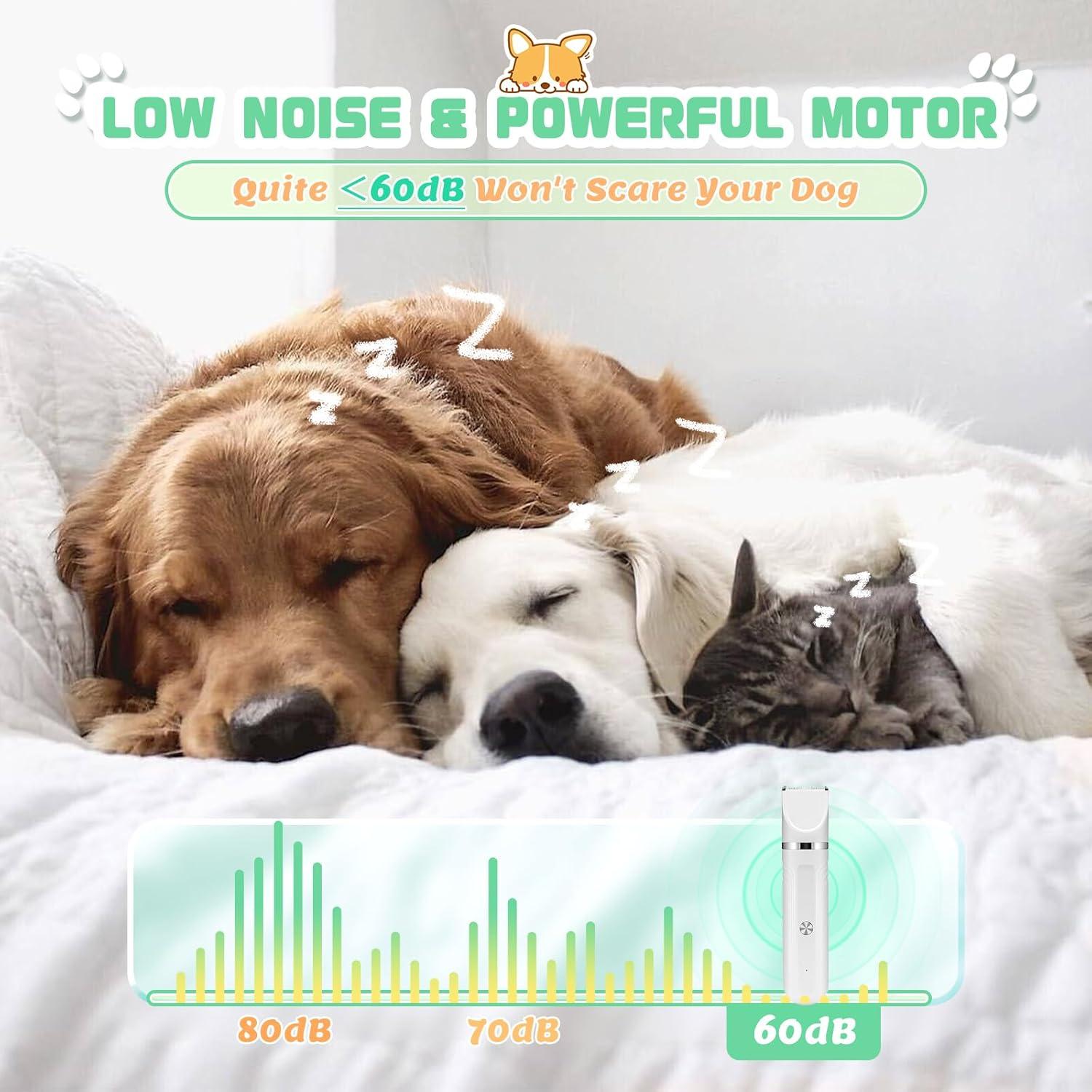 Kit de Aseo para Perros BENTFINE 4 en 1 Inalámbrico Bajo Ruido