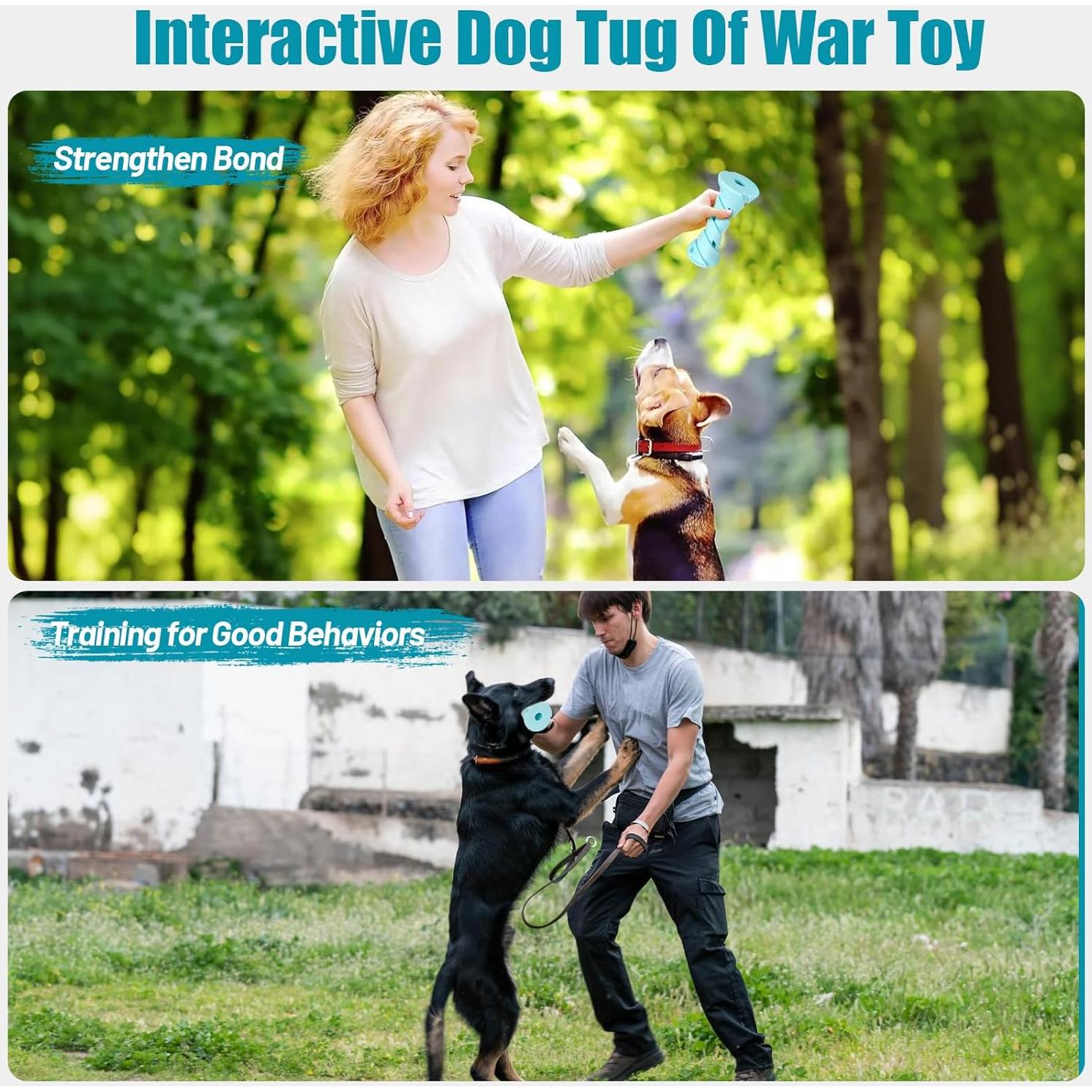 Juguete Interactivo para Perros KGPERGU 16.5cm Azul