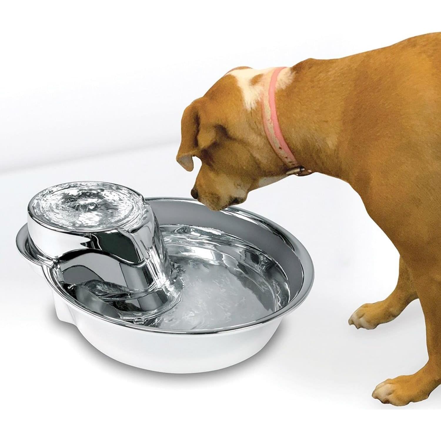 Fuente de Agua para Mascotas Pioneer Pet Acero Inoxidable 1.77L