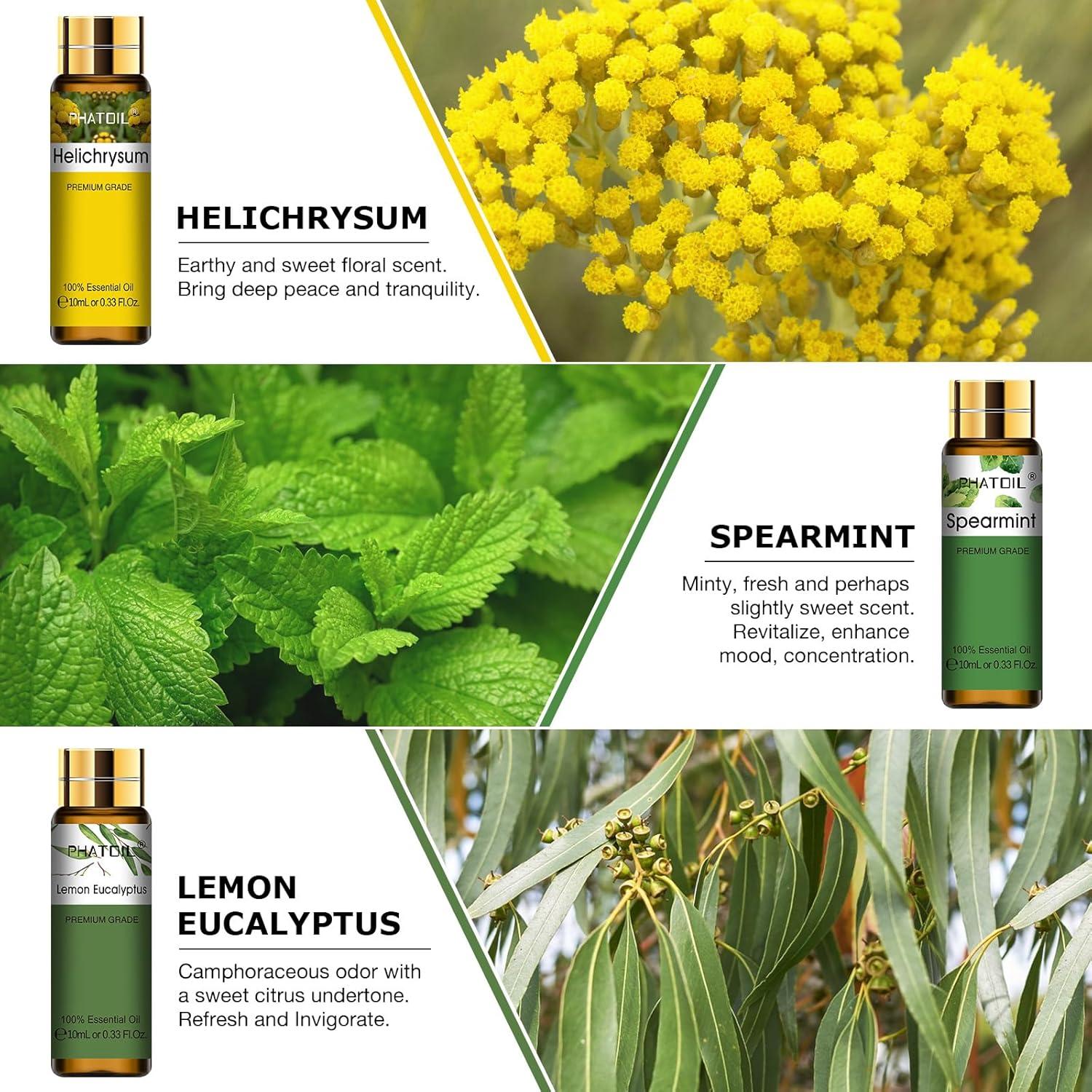 Conjunto de Aceites Esenciales PHATOIL 9x10ml Aromaterapia