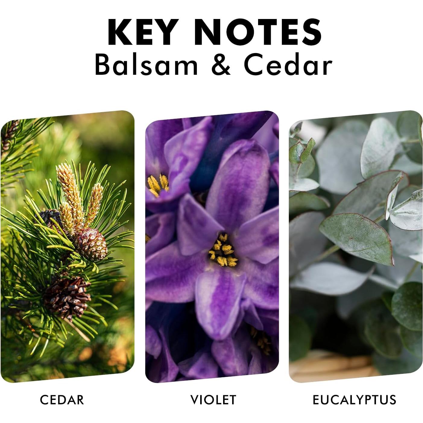 Difusor de caña Xcleen 110 ml Balsamo y Cedro para hogar