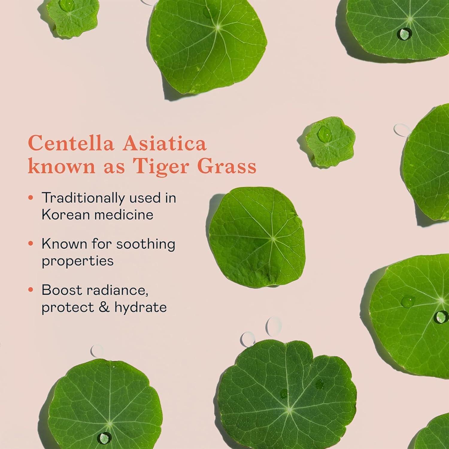 Kit de Viaje Erborian Centella - Aceite, Gel y Crema Hidratante