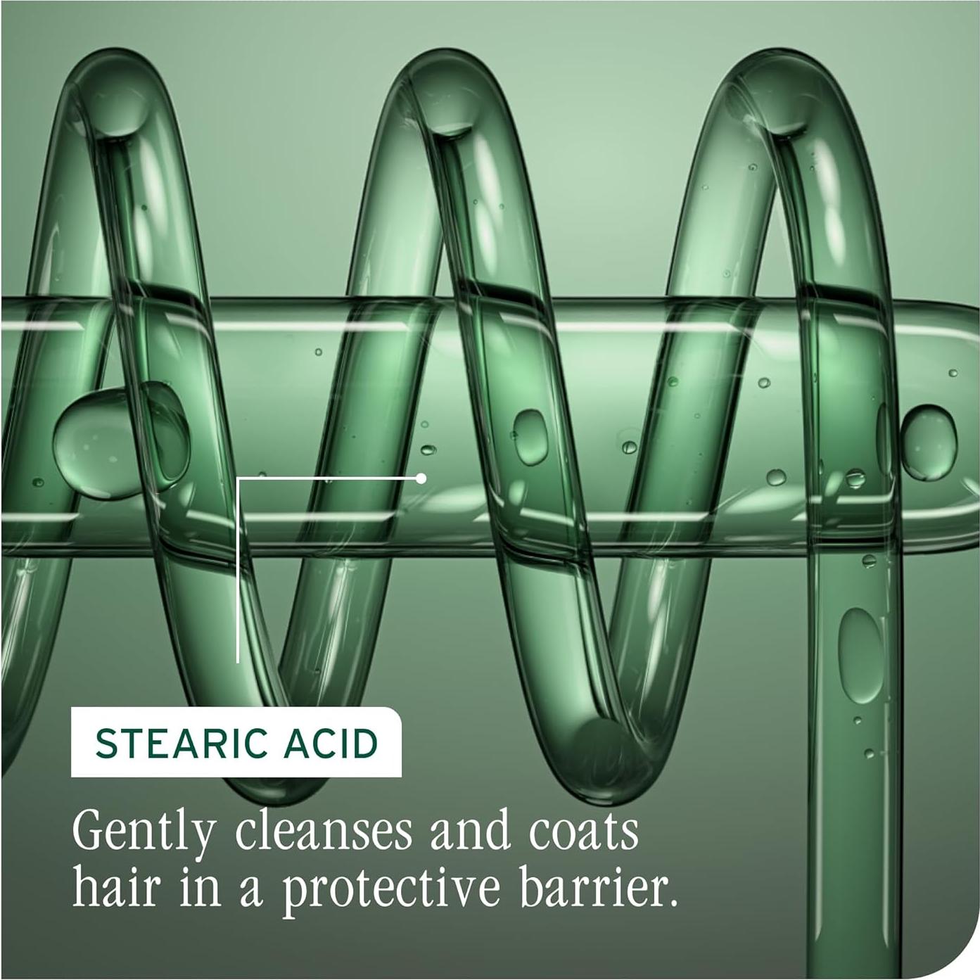 Conjunto Champú y Acondicionador Biolage Color Last 1000ml