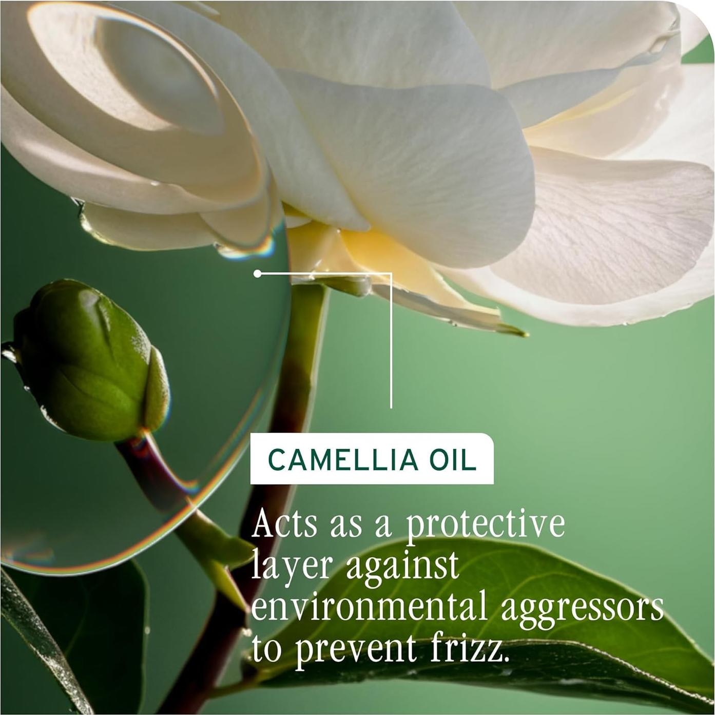 Acondicionador Biolage Smooth Proof 1000 ml - Controla Frizz